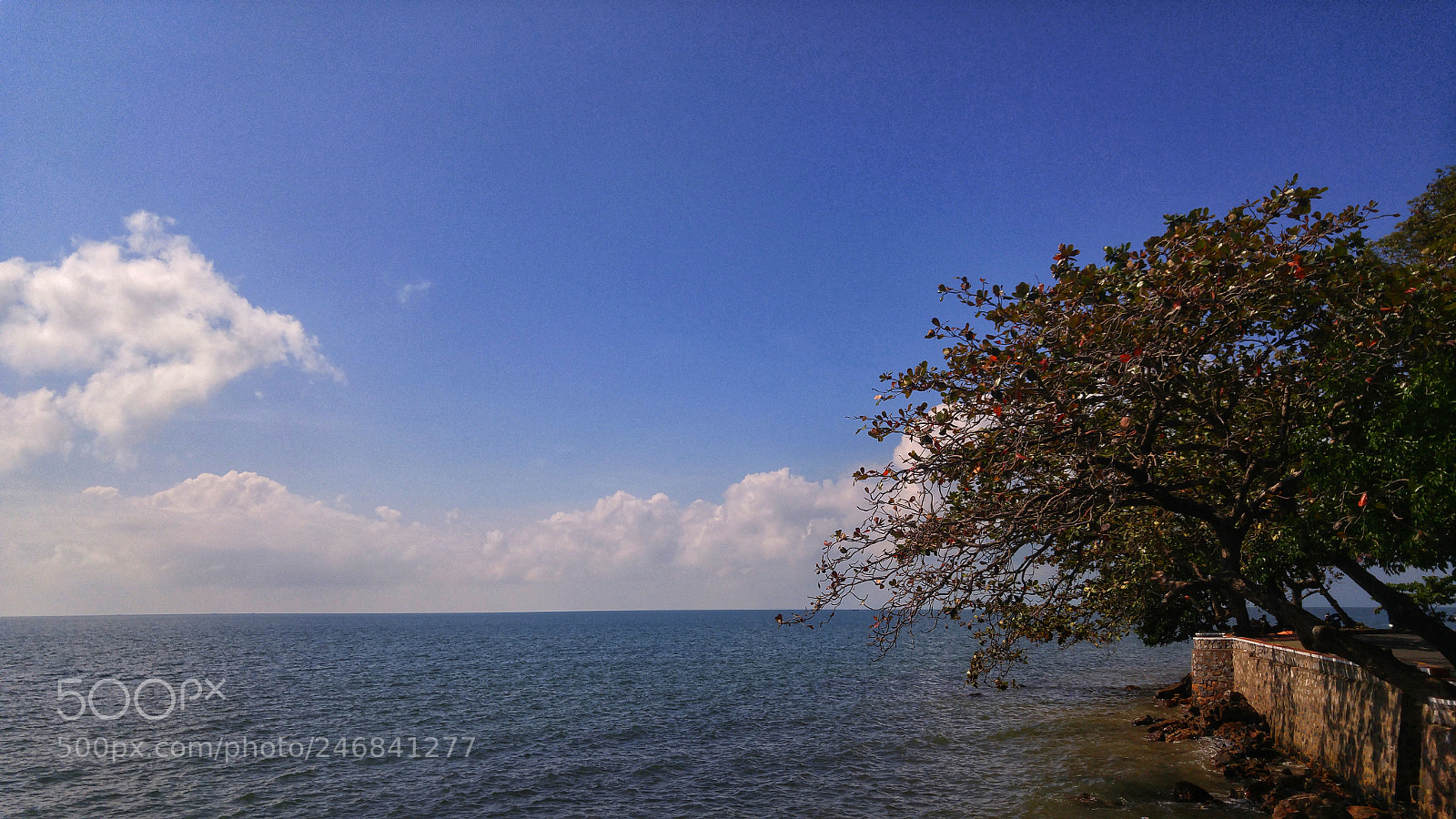 LG G4 sample photo. Untitled photography