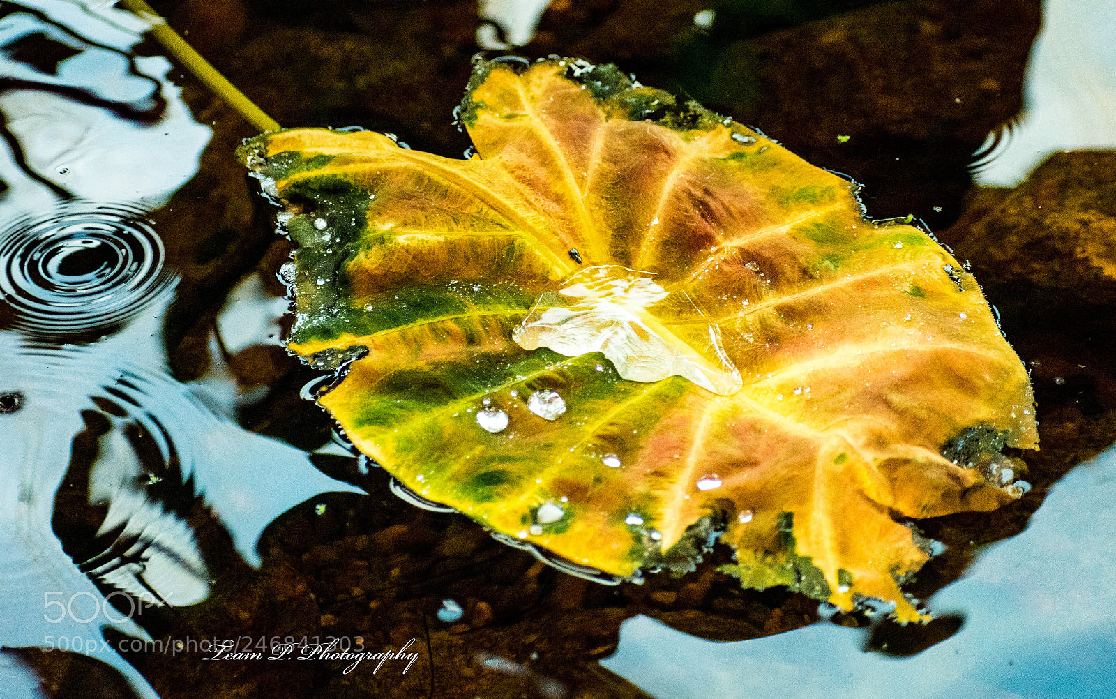 Nikon D3400 sample photo. Confused by reality photography