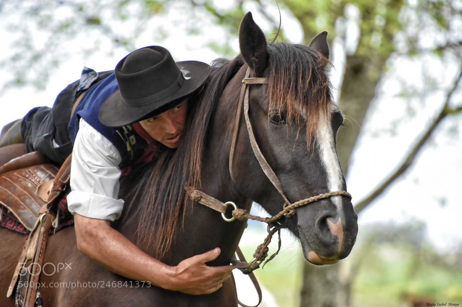 Nikon D7200 sample photo. Doma india photography