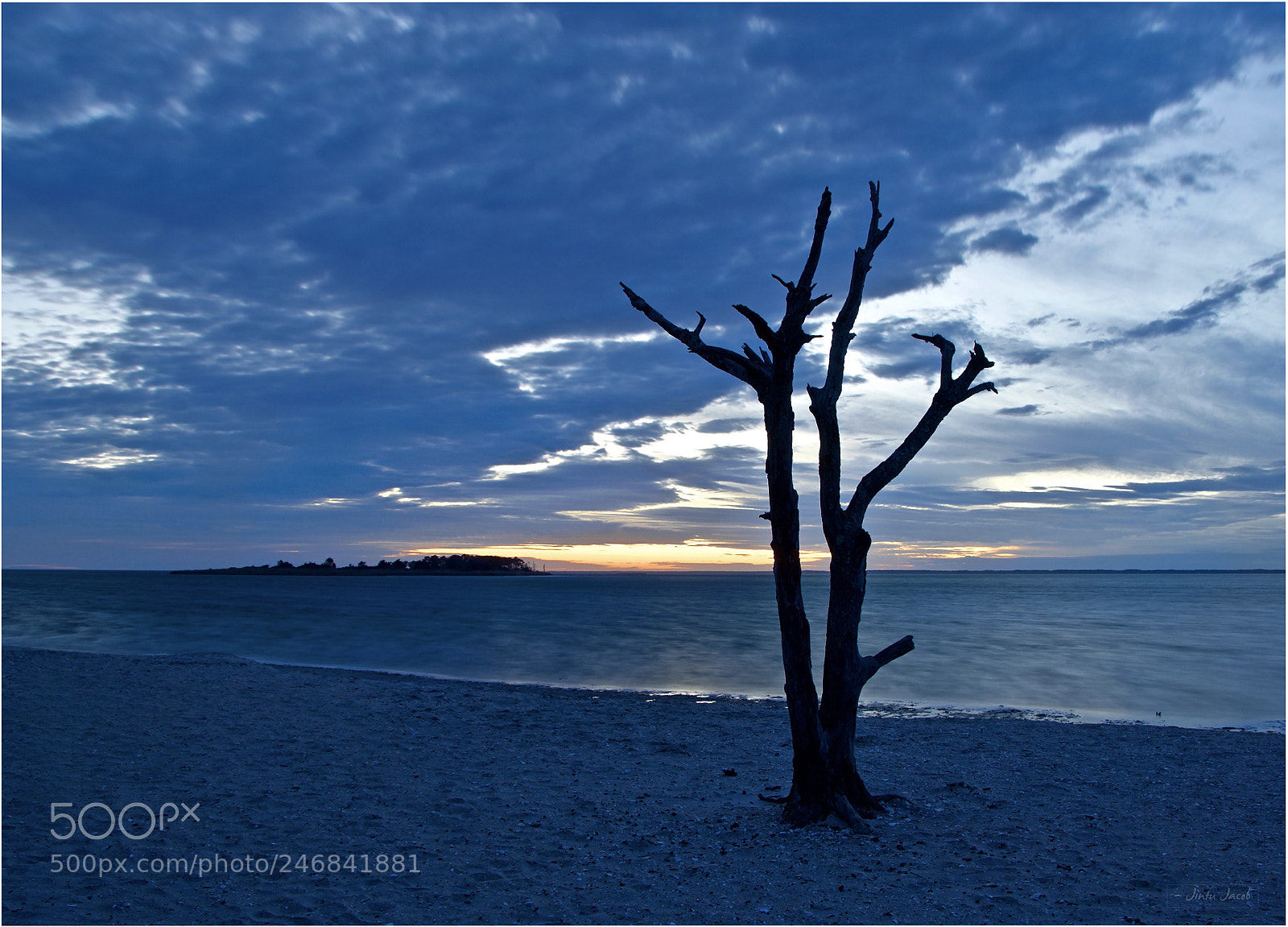 Nikon D500 sample photo. Lonely tree at the photography