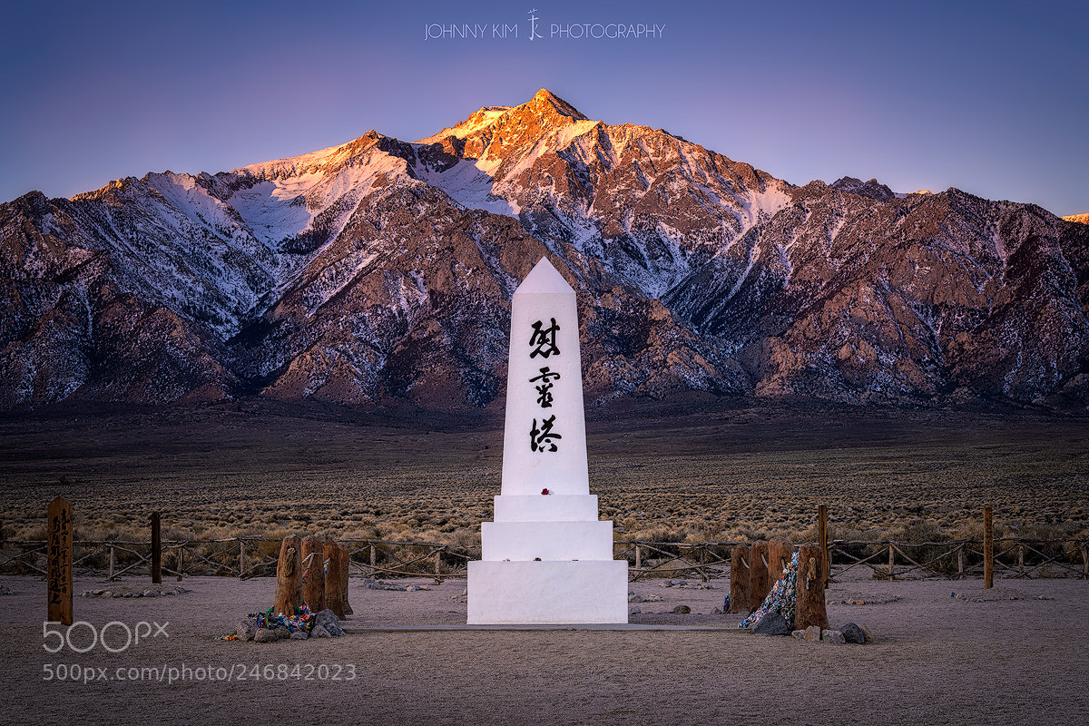 Nikon D810 sample photo. You will be comforted  photography