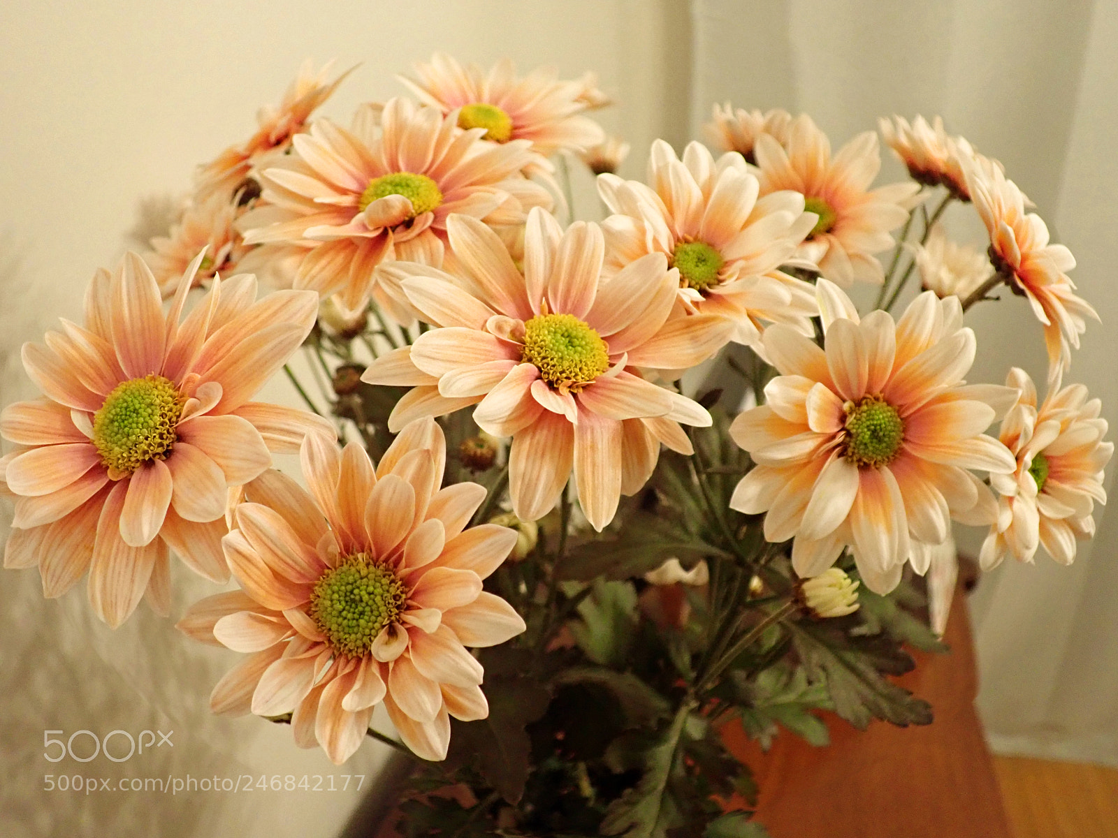 Olympus TG-5 sample photo. Bouquet photography