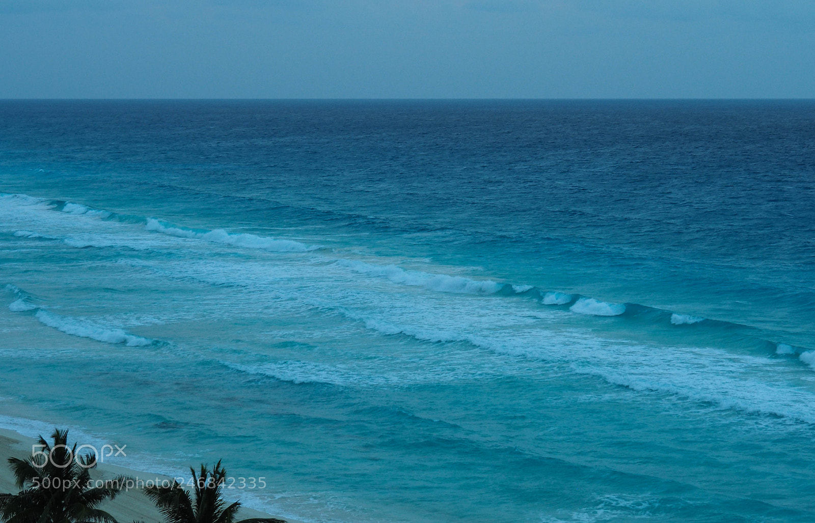 Olympus OM-D E-M1 Mark II sample photo. Olympus digital camera photography