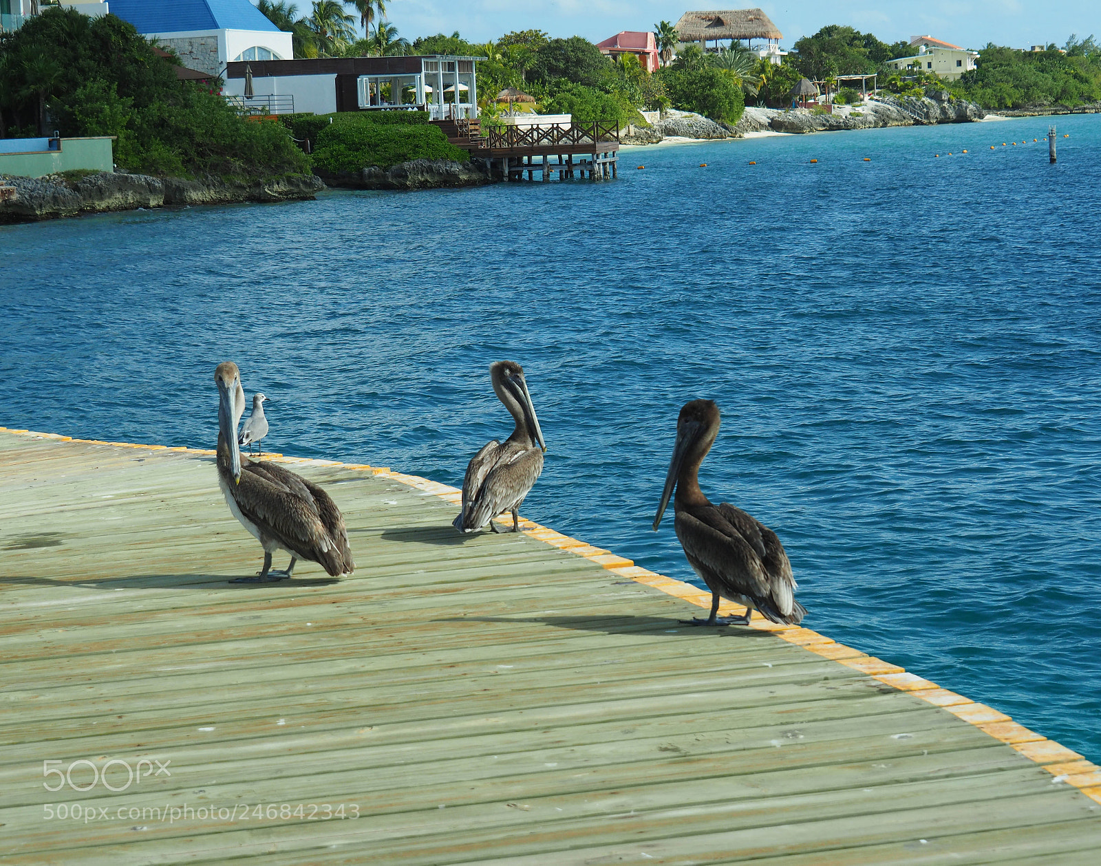 Olympus OM-D E-M1 Mark II sample photo. Olympus digital camera photography