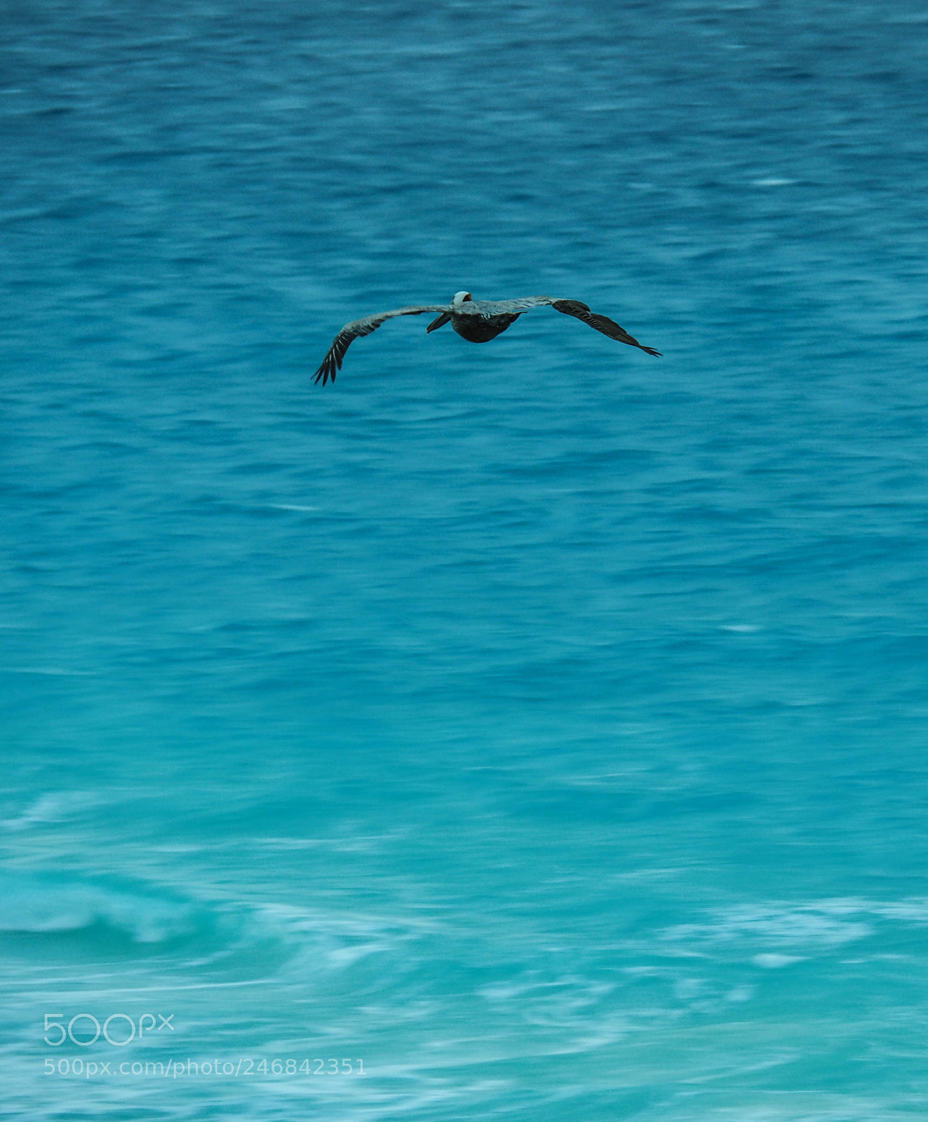 Olympus OM-D E-M1 Mark II sample photo. Olympus digital camera photography