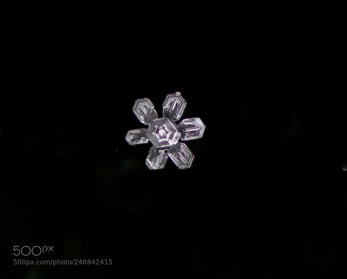 Canon EOS 7D sample photo. Snow flake022018 photography