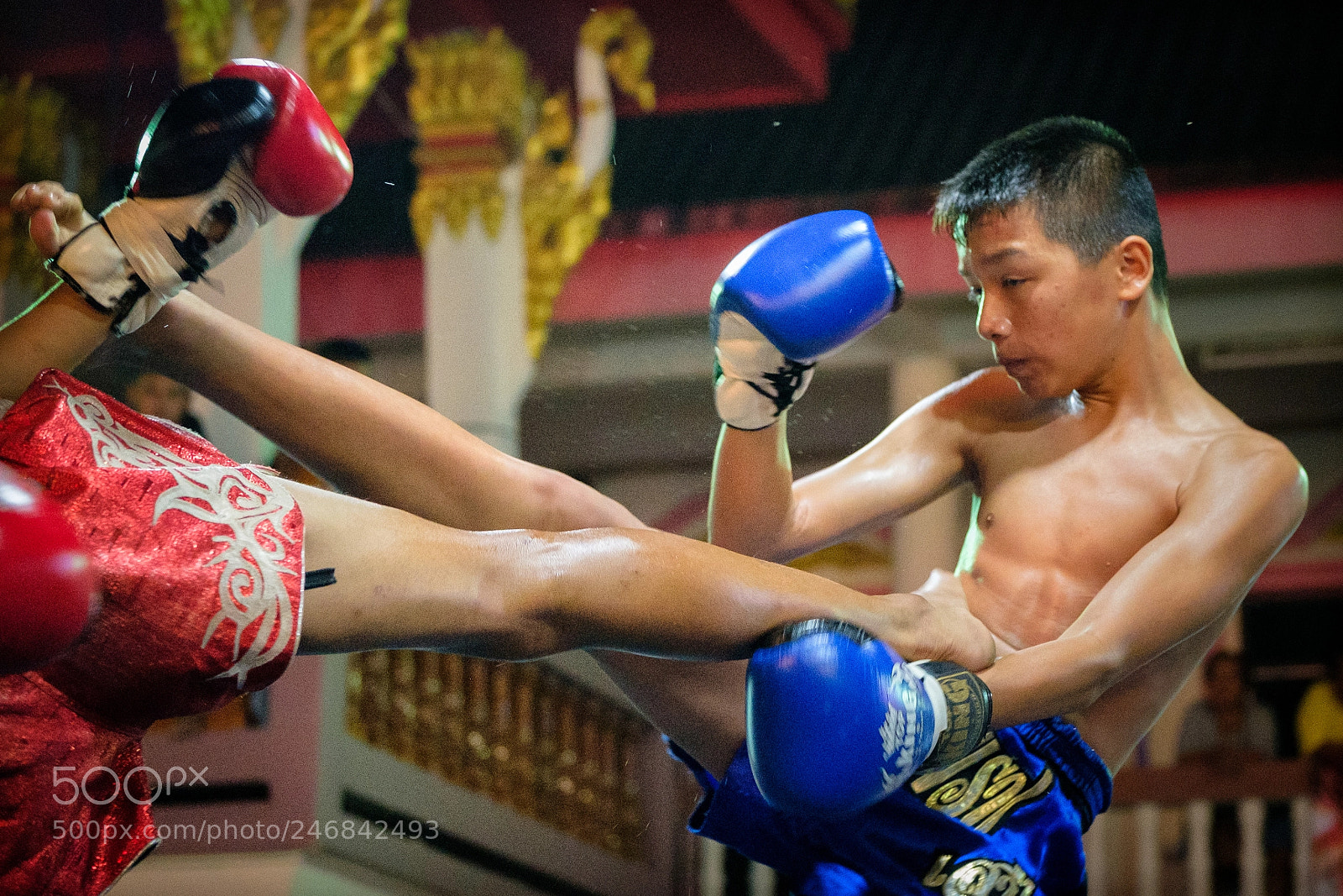 Fujifilm X-T2 sample photo. Youth muay thai in photography