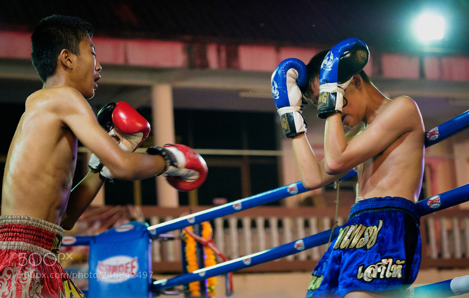 Fujifilm X-T2 sample photo. Youth muay thai in photography