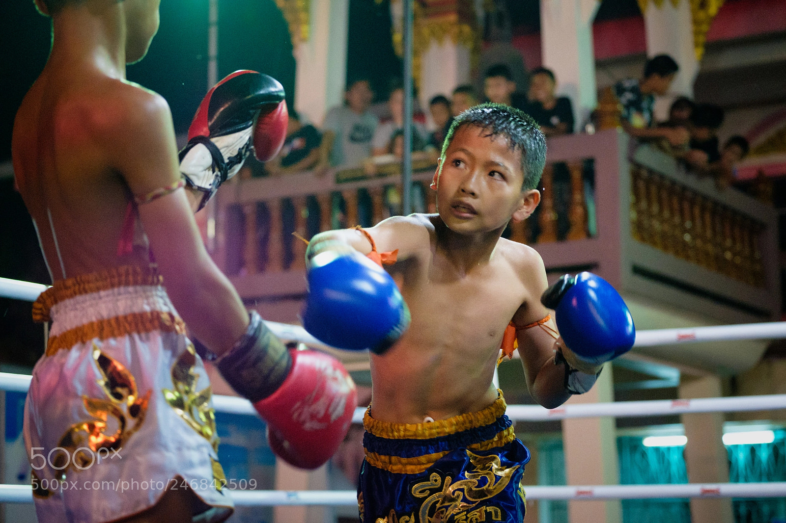 Fujifilm X-T2 sample photo. Youth muay thai in photography
