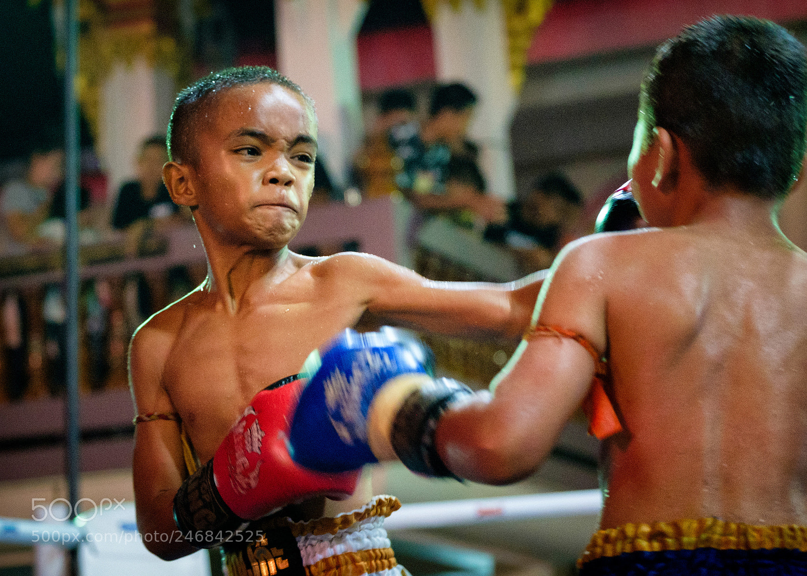 Fujifilm X-T2 sample photo. Youth muay thai in photography