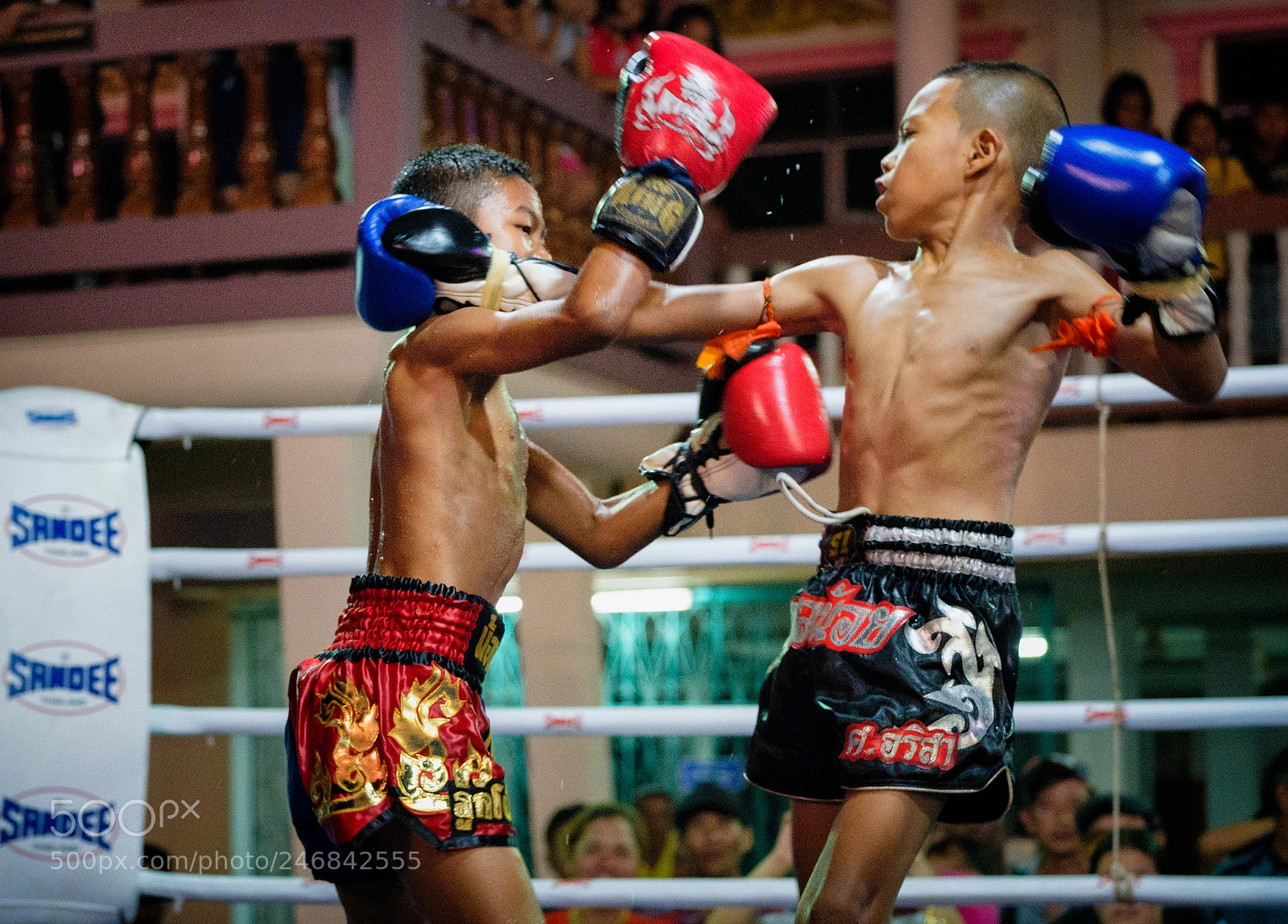 Fujifilm X-T2 sample photo. Youth muay thai in photography