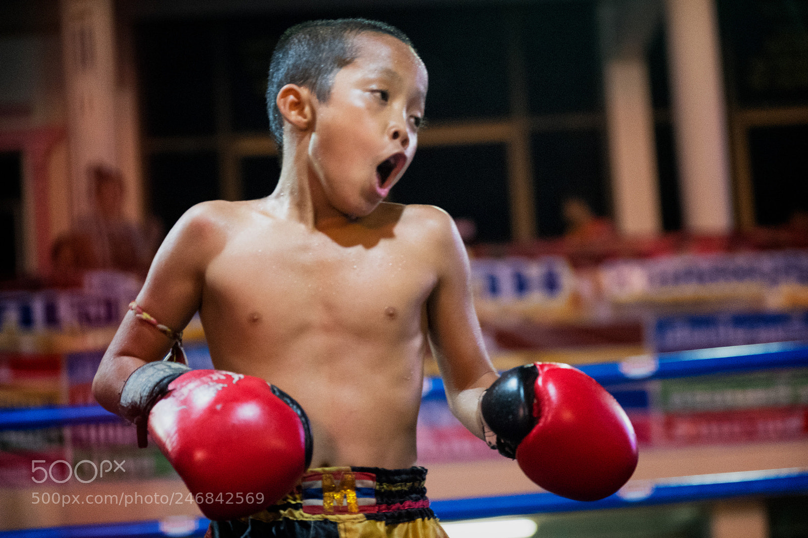 Fujifilm X-T2 sample photo. Youth muay thai in photography