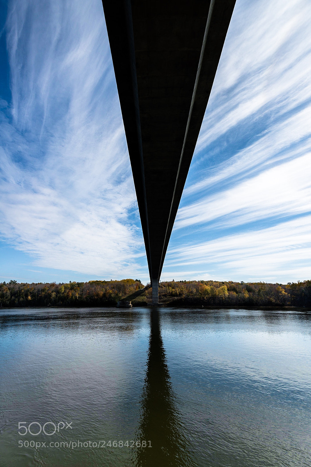 Nikon D800E sample photo. Suspension bridge underbelly. photography