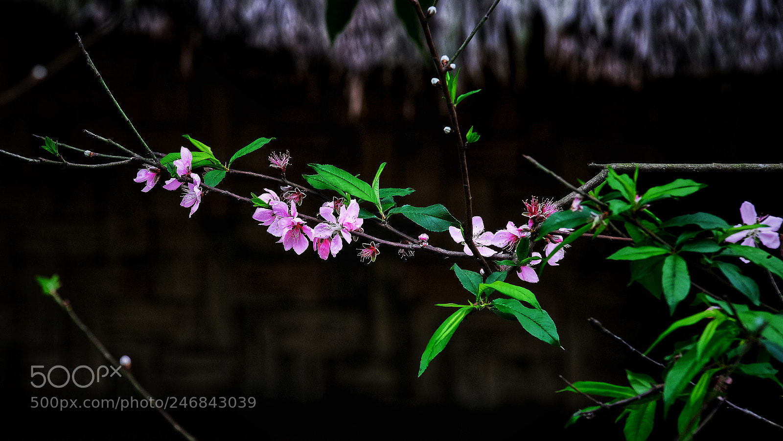 Fujifilm X-T20 sample photo. Untitled photography