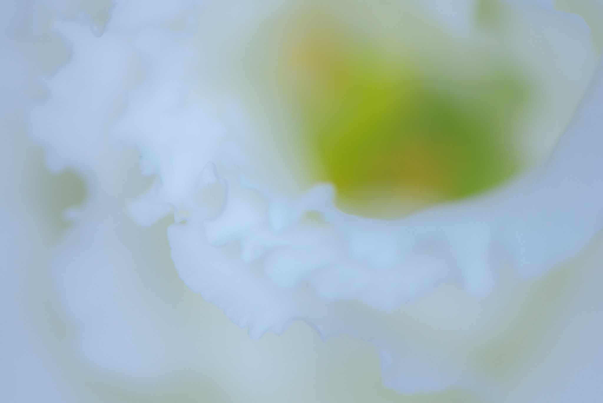 Nikon AF-S Micro-Nikkor 105mm F2.8G IF-ED VR sample photo. Melting photography