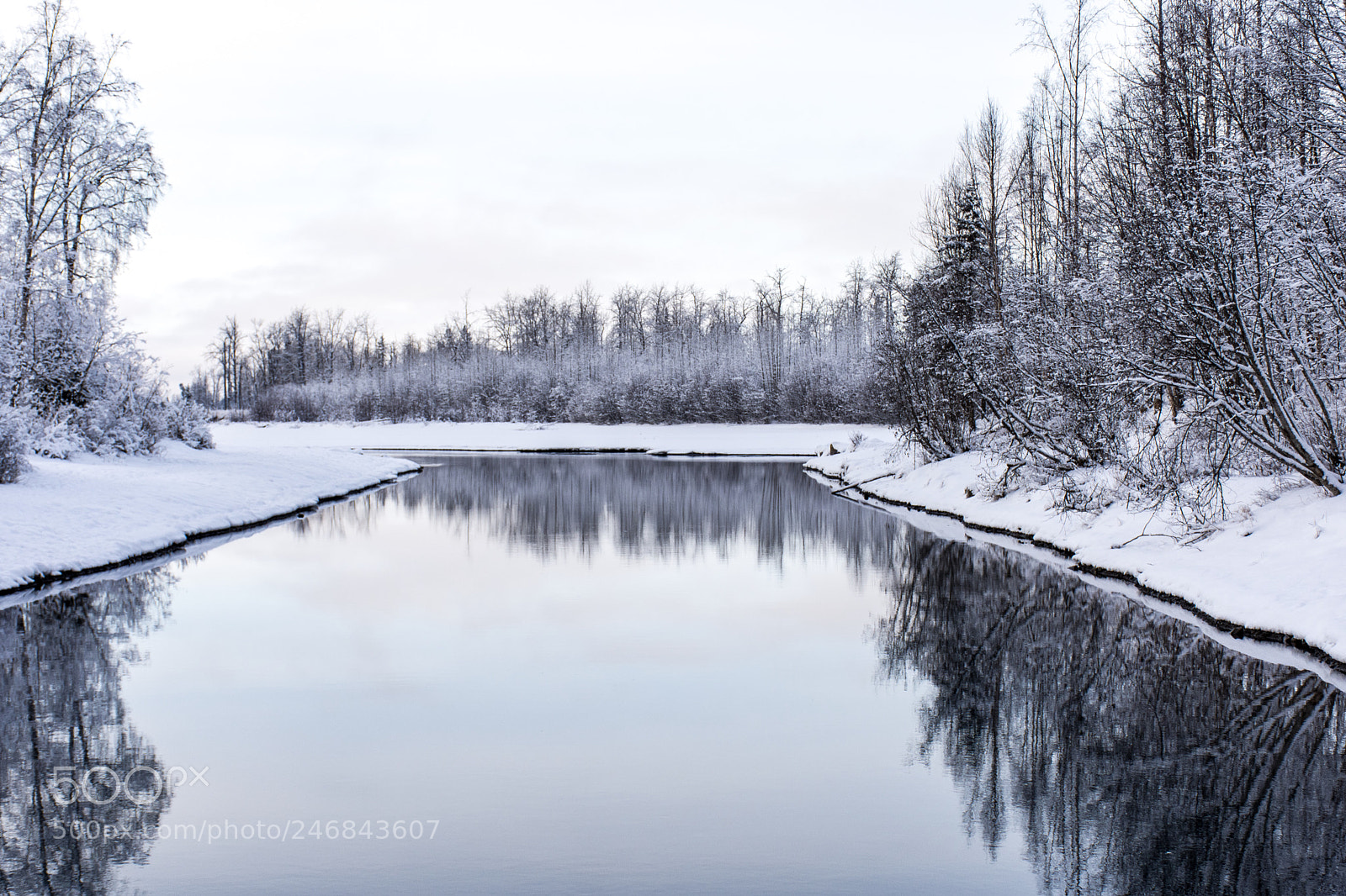 Nikon D7200 sample photo. Tail race alaska photography