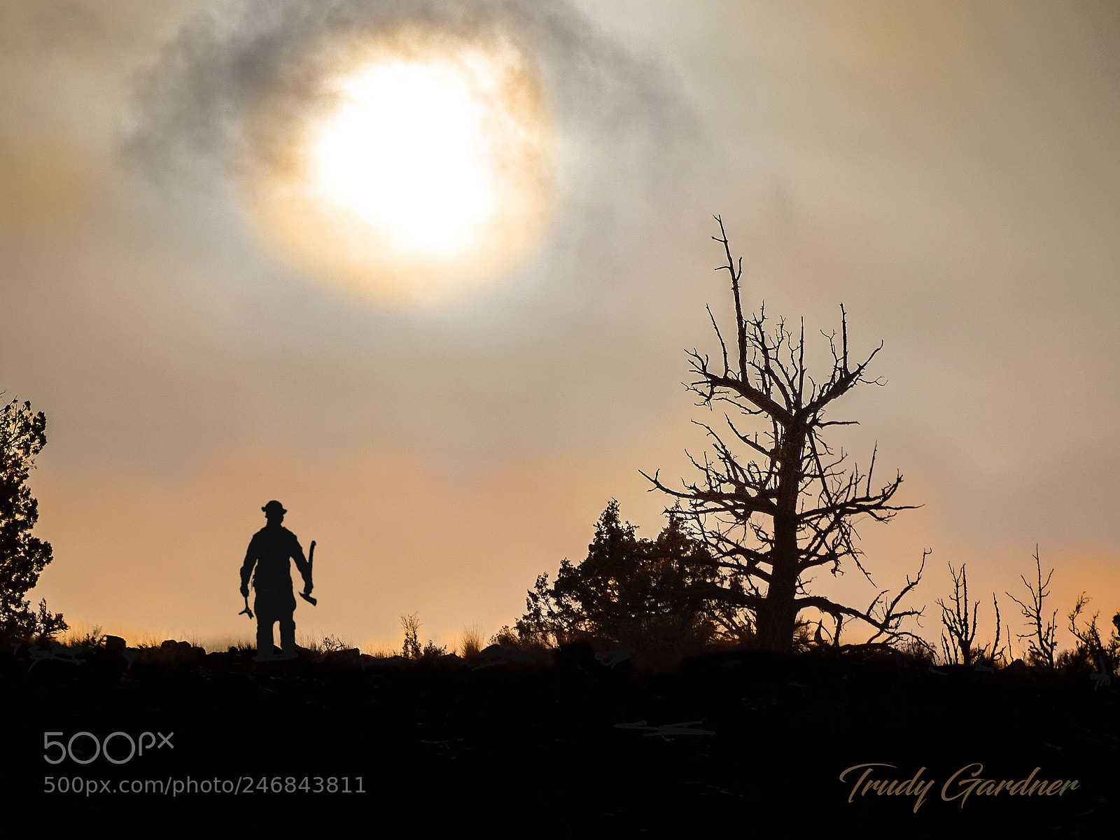 Sony Cyber-shot DSC-HX400V sample photo. The firefighter photography