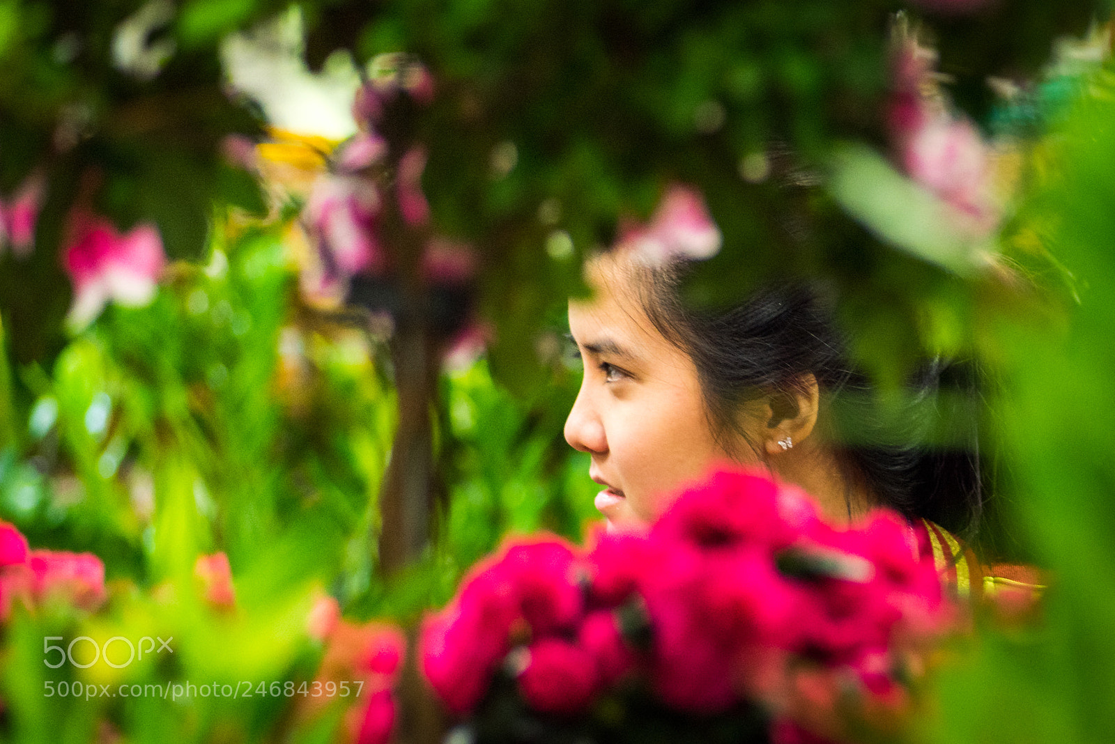 Nikon D810 sample photo. Tet photography