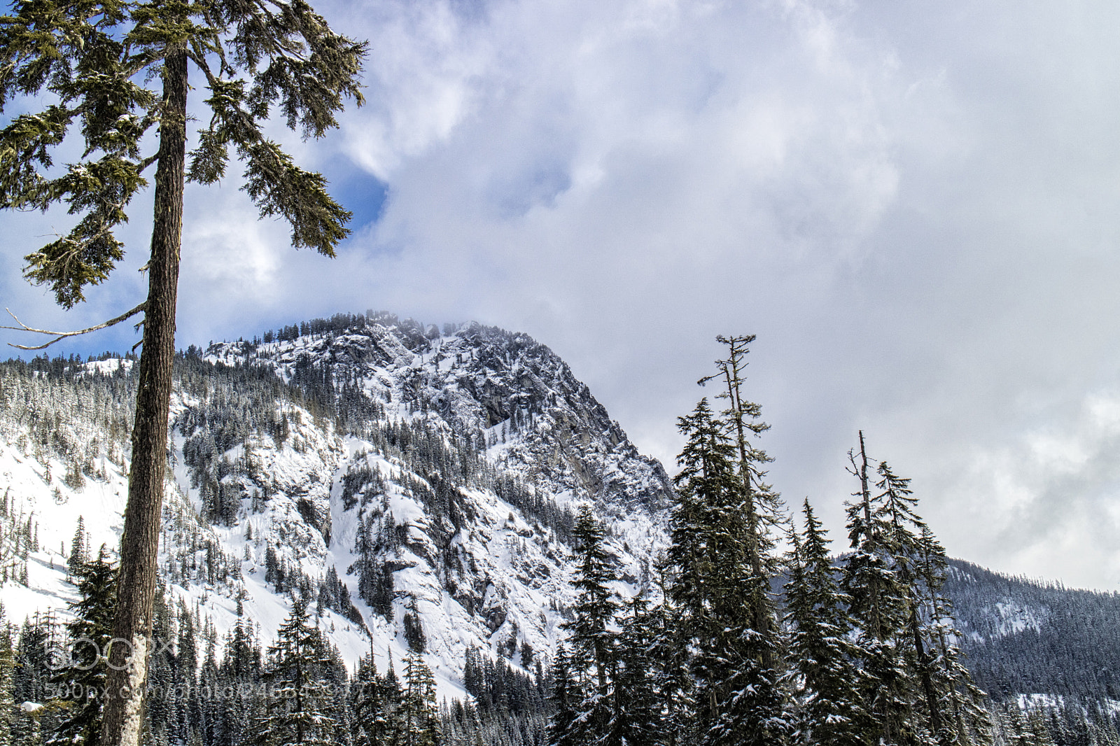 Canon EOS M3 sample photo. The hills of snoqualmie photography