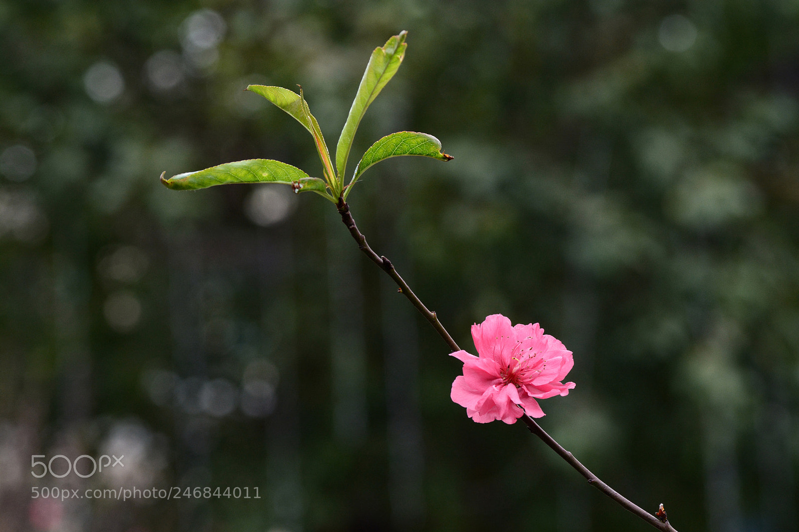 Nikon D7100 sample photo. Untitled photography