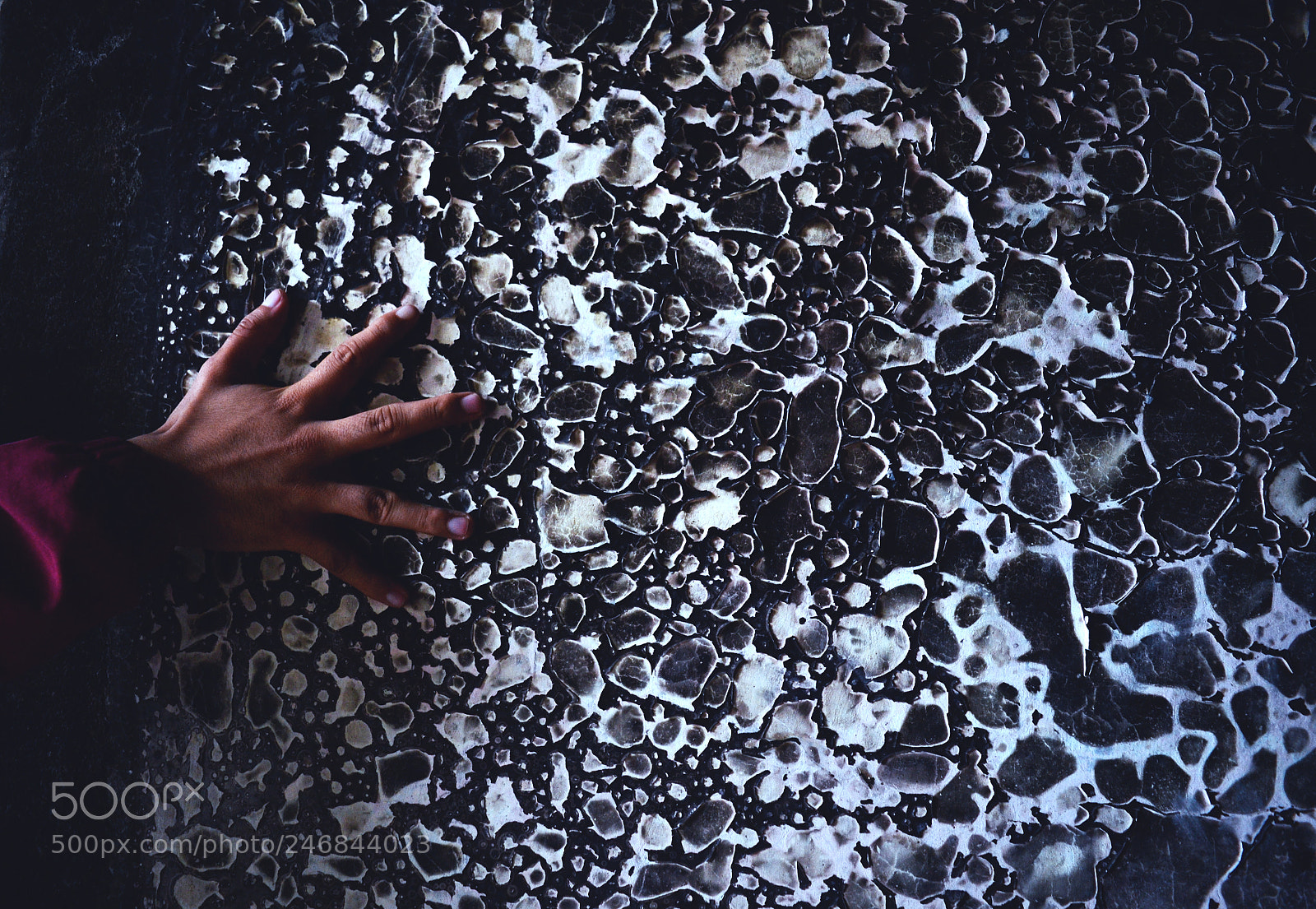 Nikon D3100 sample photo. Untitled photography