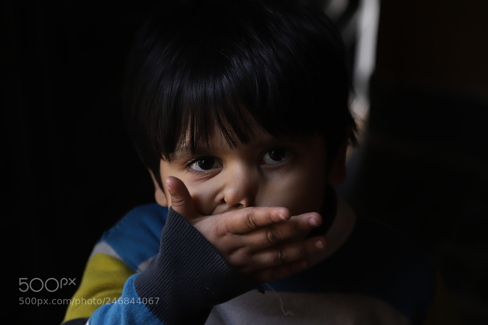 Canon EF 24-105mm F4L IS USM sample photo. Untitled photography