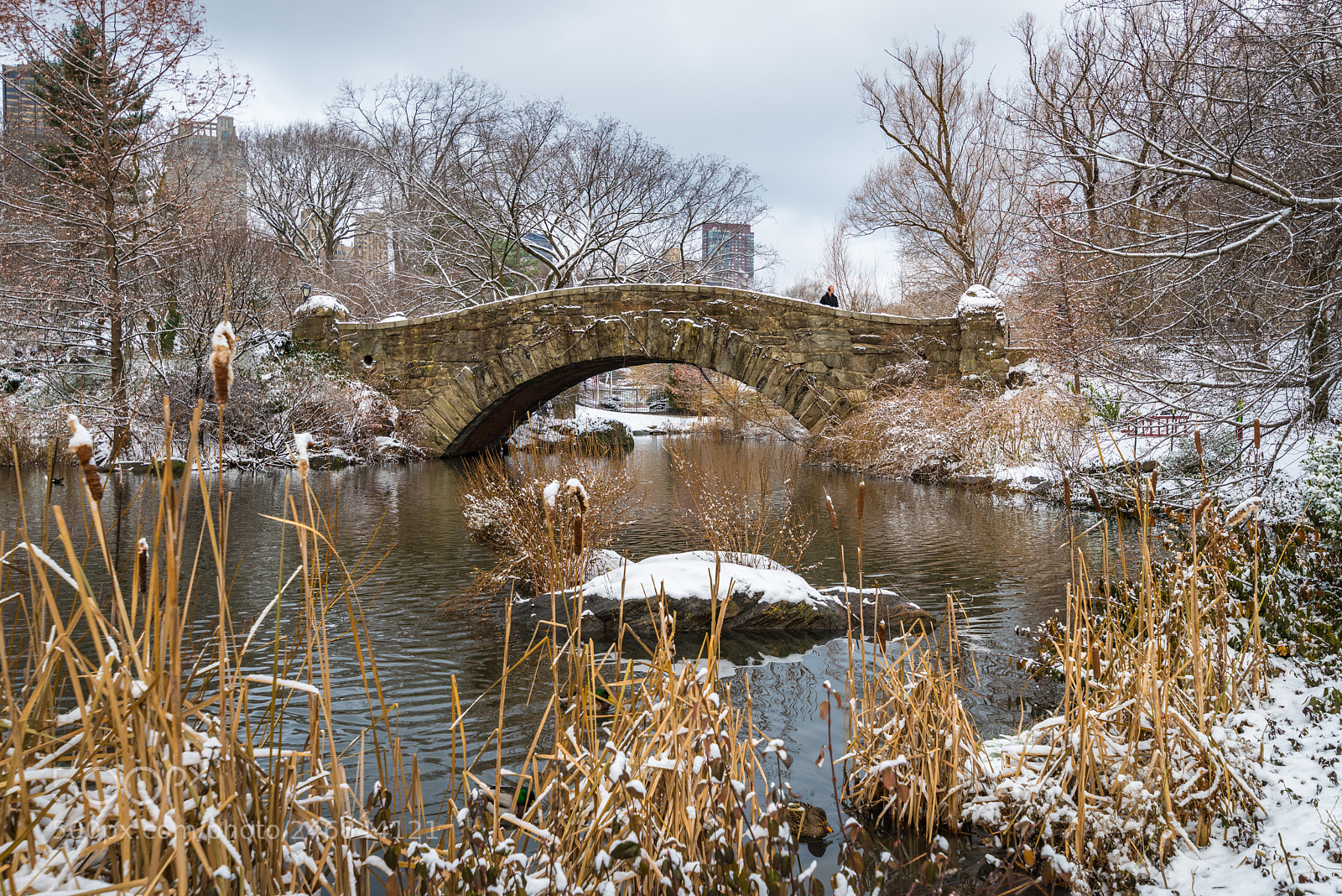Pentax K-1 sample photo. Gapstow bridge in winter photography