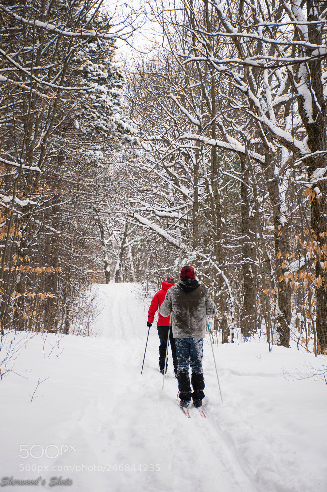 Nikon D7200 sample photo. Cross country skiers in photography