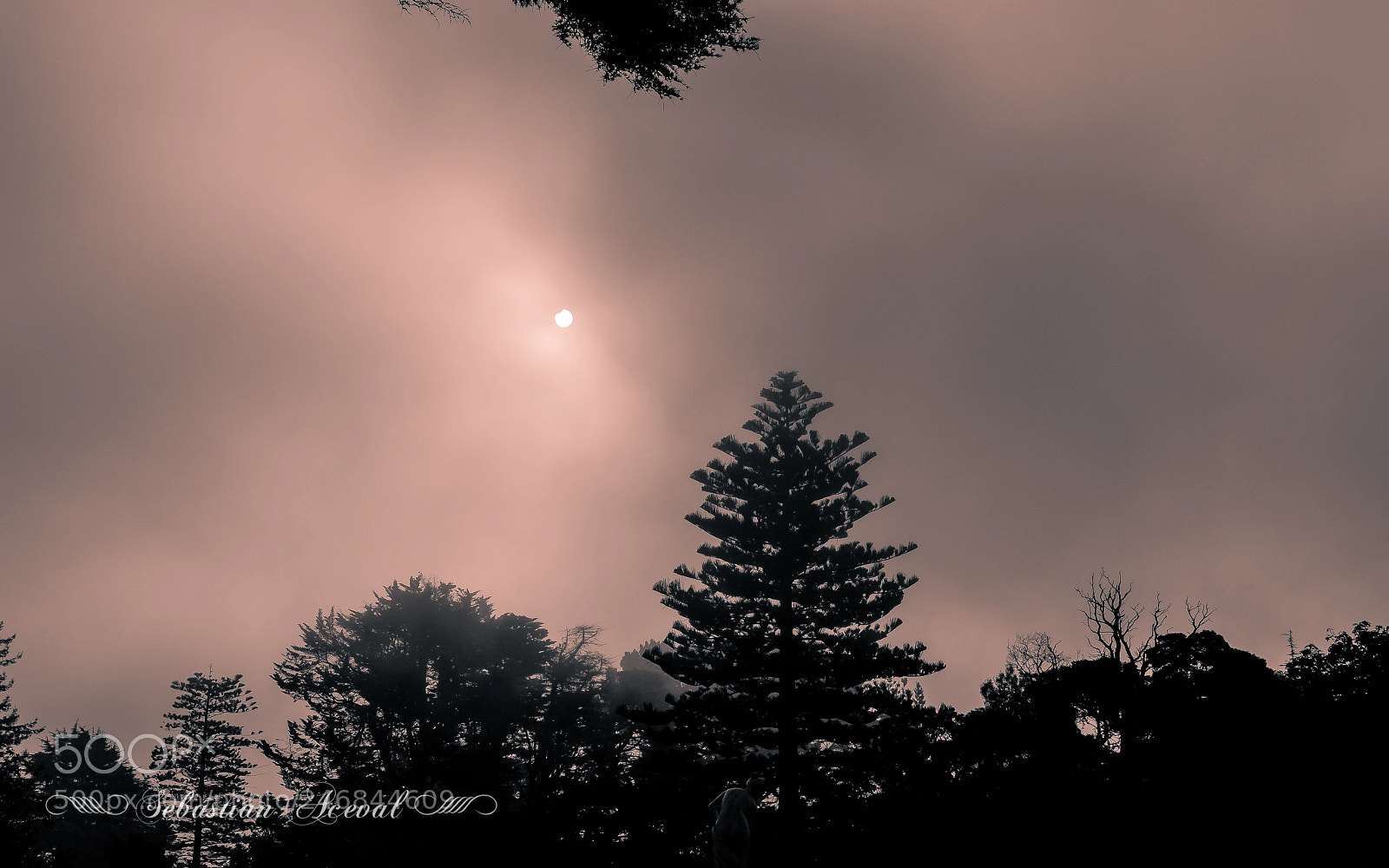 Nikon D3200 sample photo. Medioeclipse photography