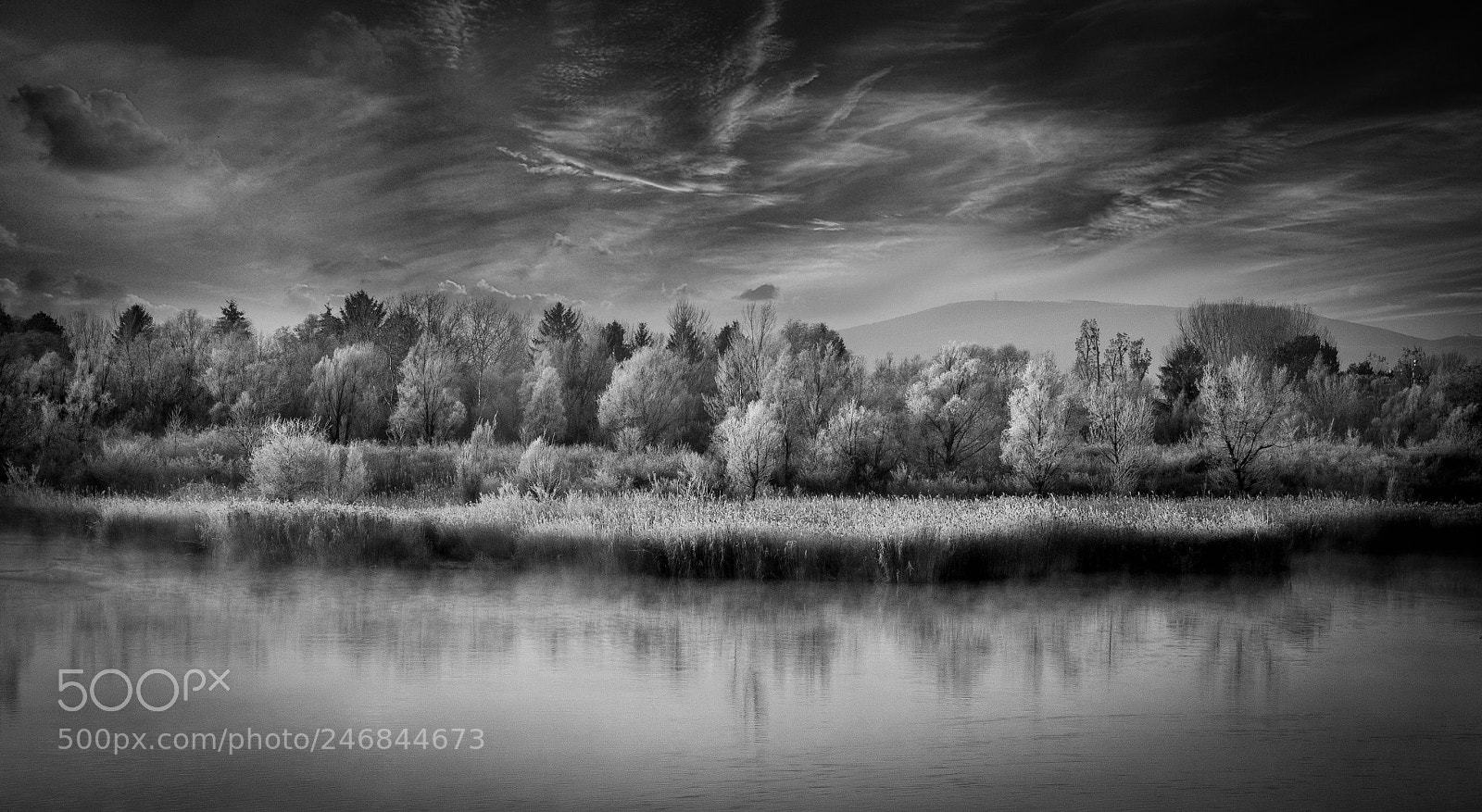 Canon EOS 550D (EOS Rebel T2i / EOS Kiss X4) sample photo. Morning in the lake photography