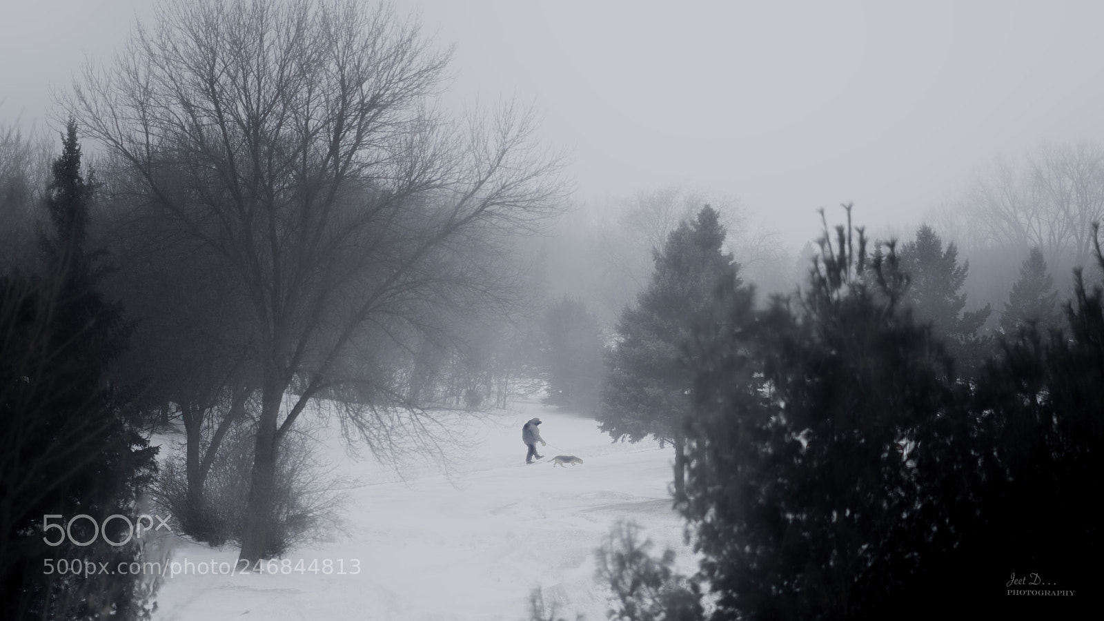 Sony a7R III sample photo. A gloomy morning from photography