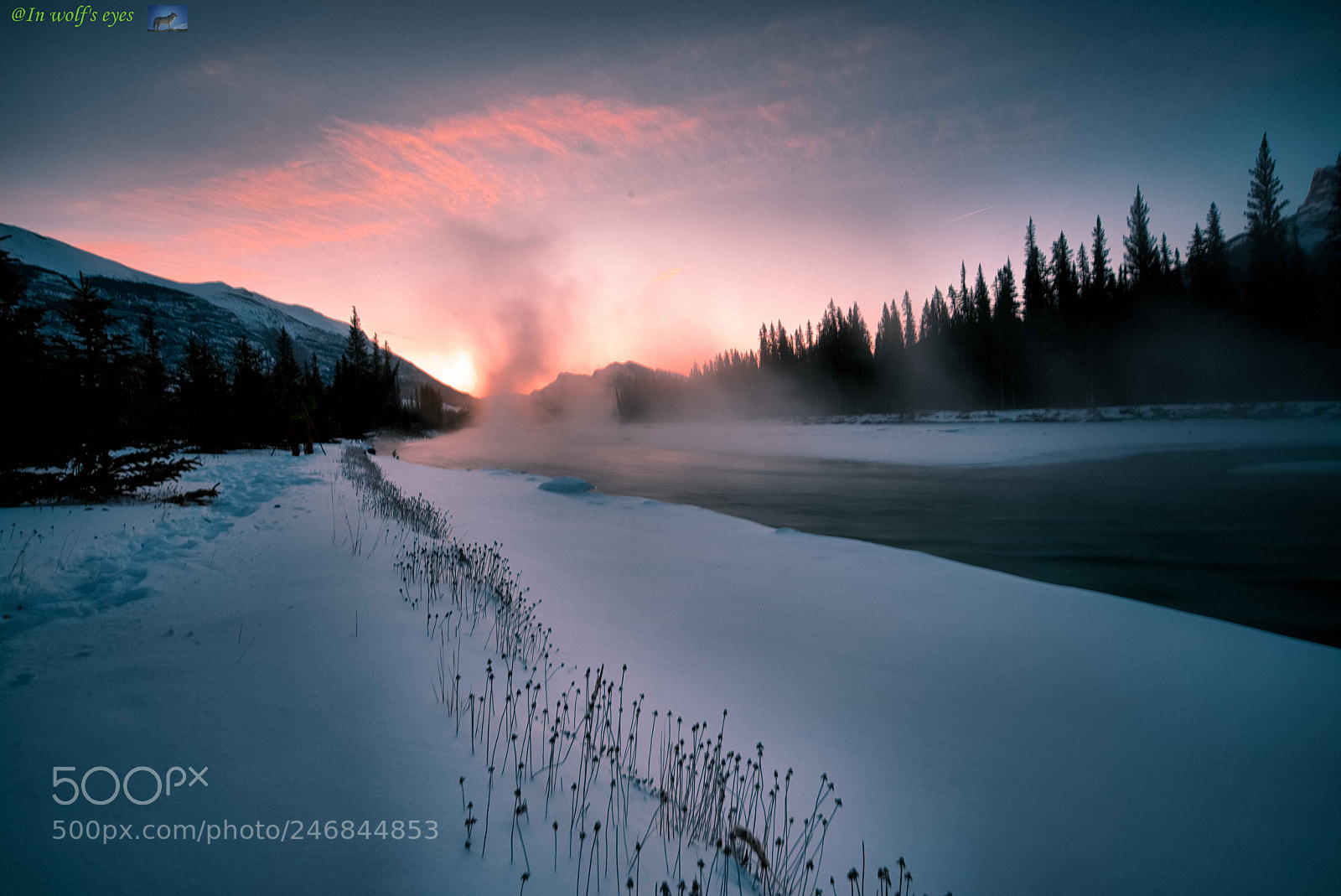 Nikon D810 sample photo. Morning light, canada photography