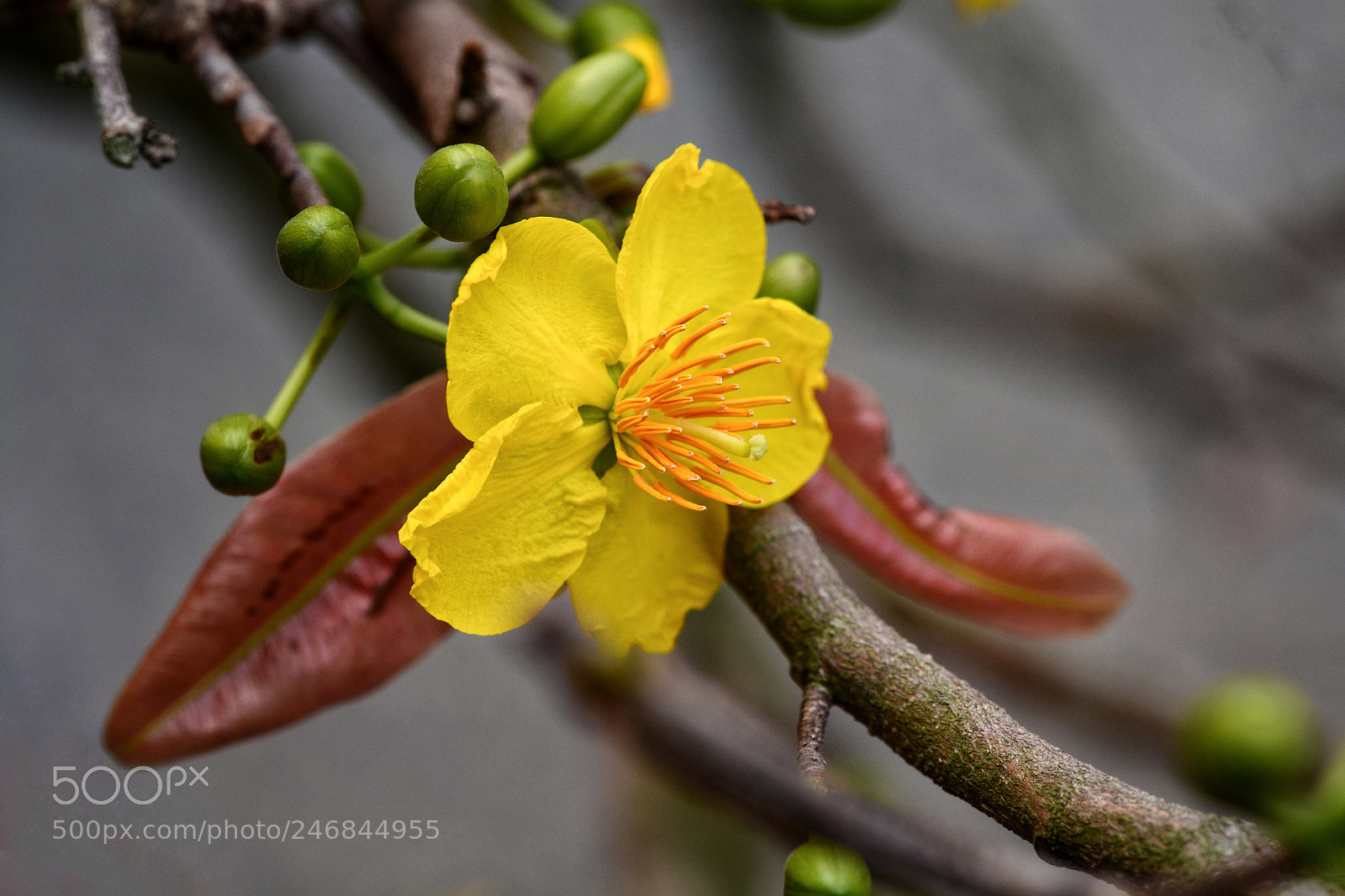 Nikon D7100 sample photo. Untitled photography