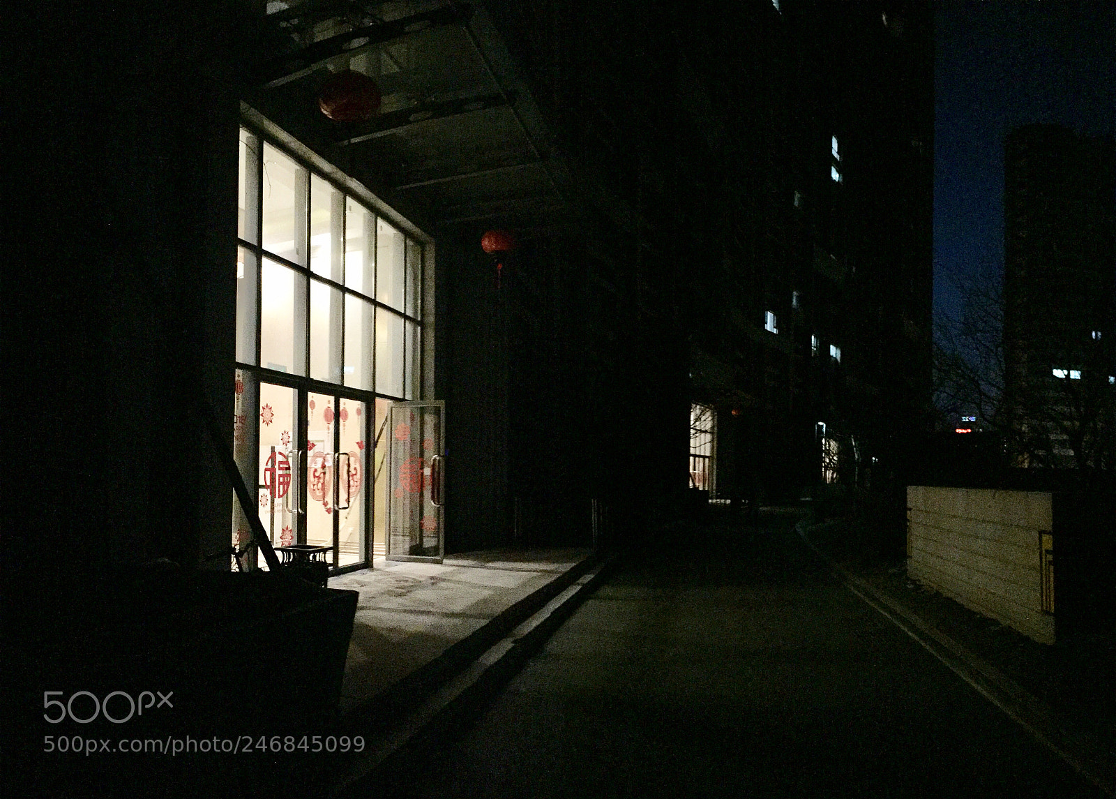 Apple iPhone 6 sample photo. Untitled photography