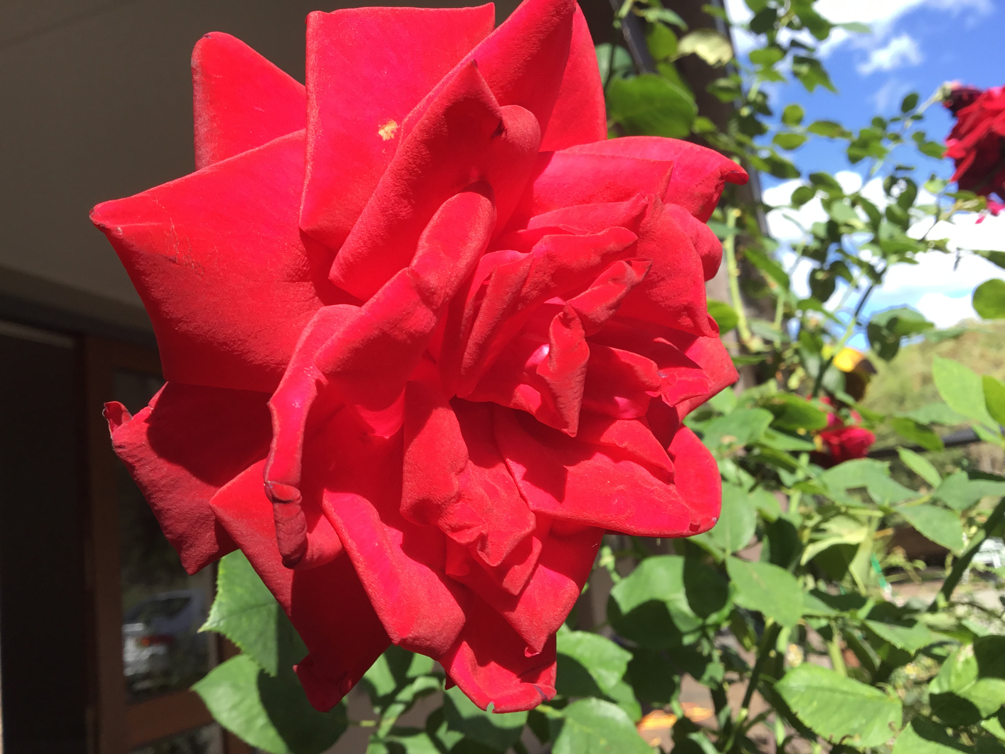 Apple iPad (5th generation) sample photo