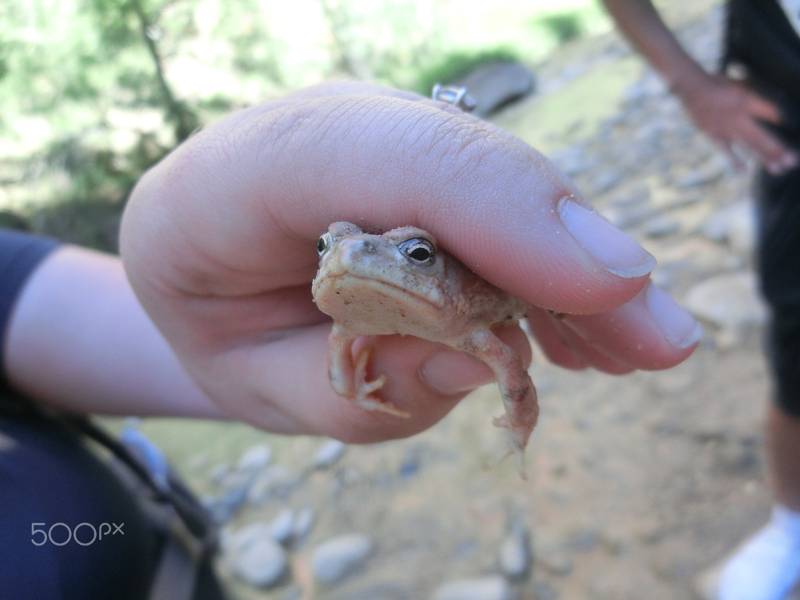 CASIO EX-ZR400 sample photo. Kero photography