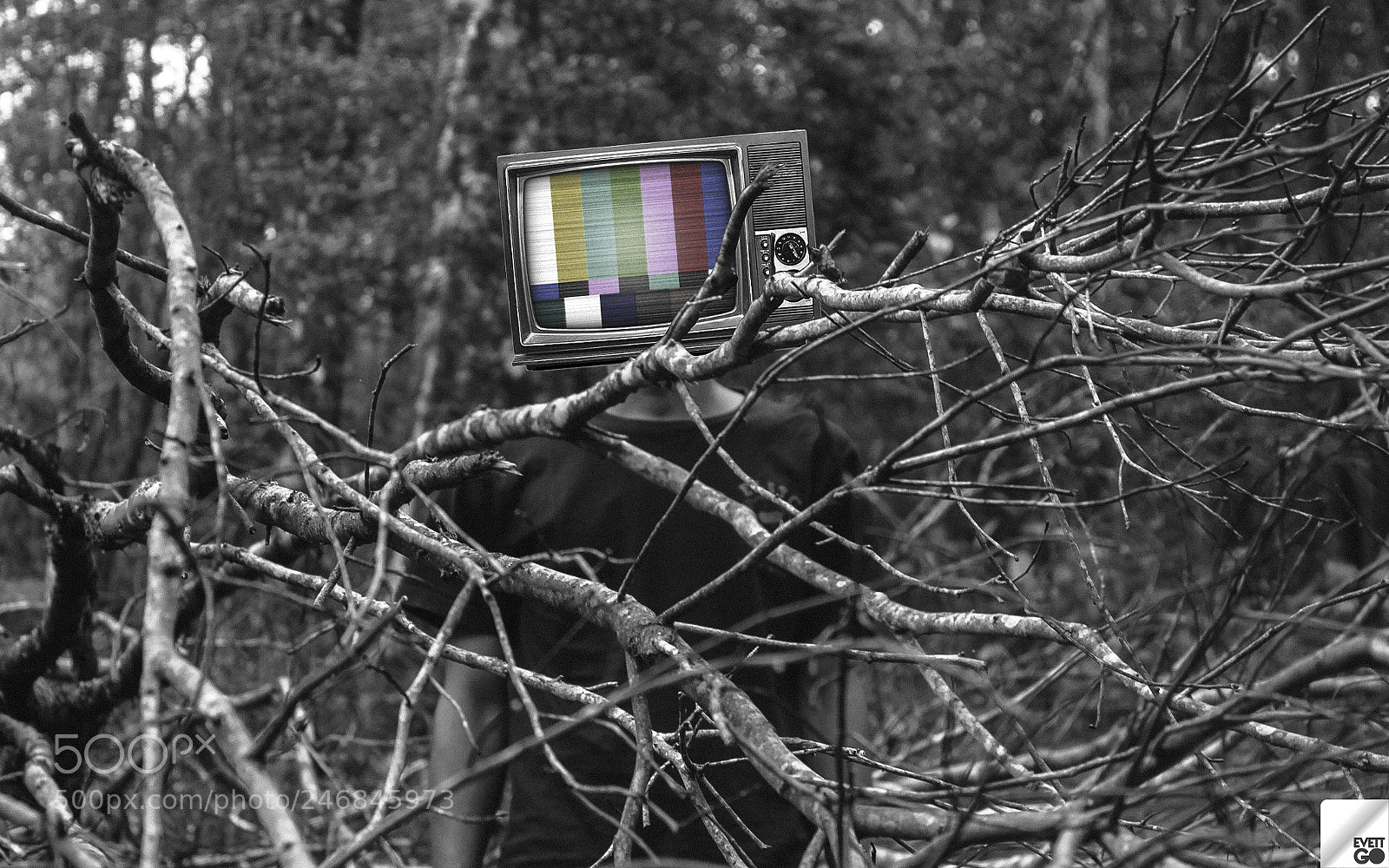 Canon EOS 60D sample photo. No tv channels photography