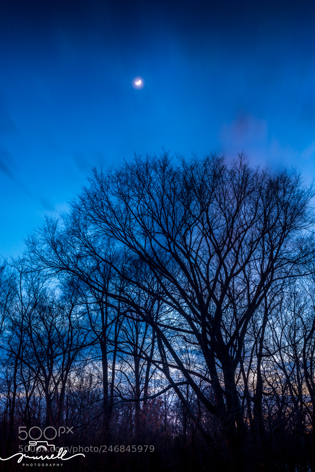 Nikon D800 sample photo. Here comes the moon photography