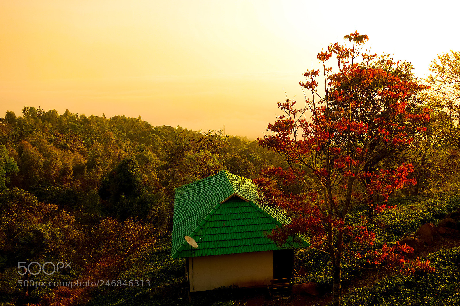 Sony Cyber-shot DSC-RX100 II sample photo. Nature & man made photography