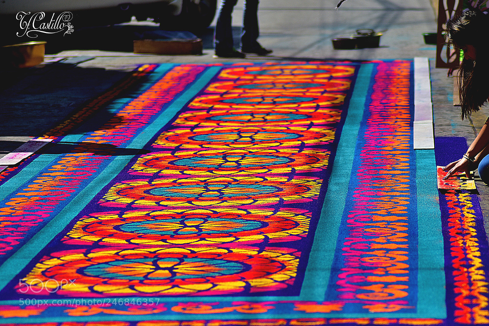 Nikon D5600 sample photo. Alfombra elaborada de aserr photography