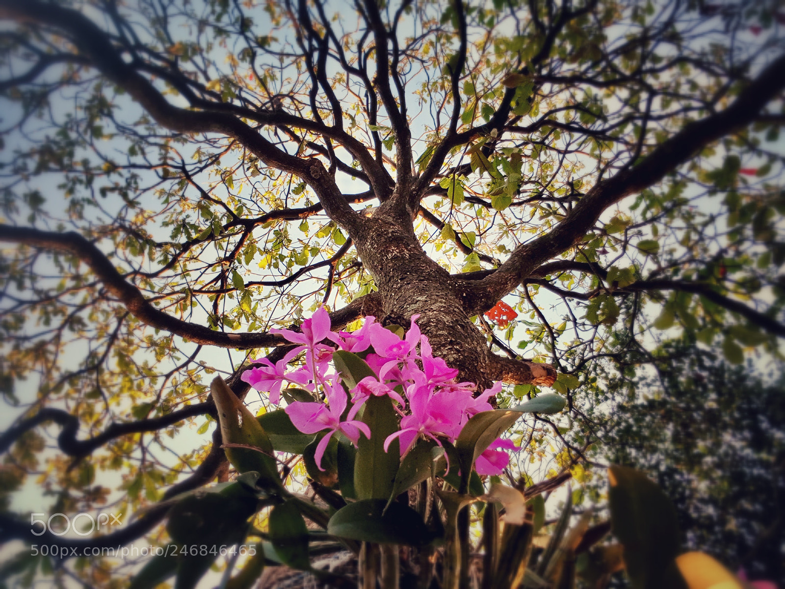 Samsung Galaxy S8+ sample photo. Untitled photography
