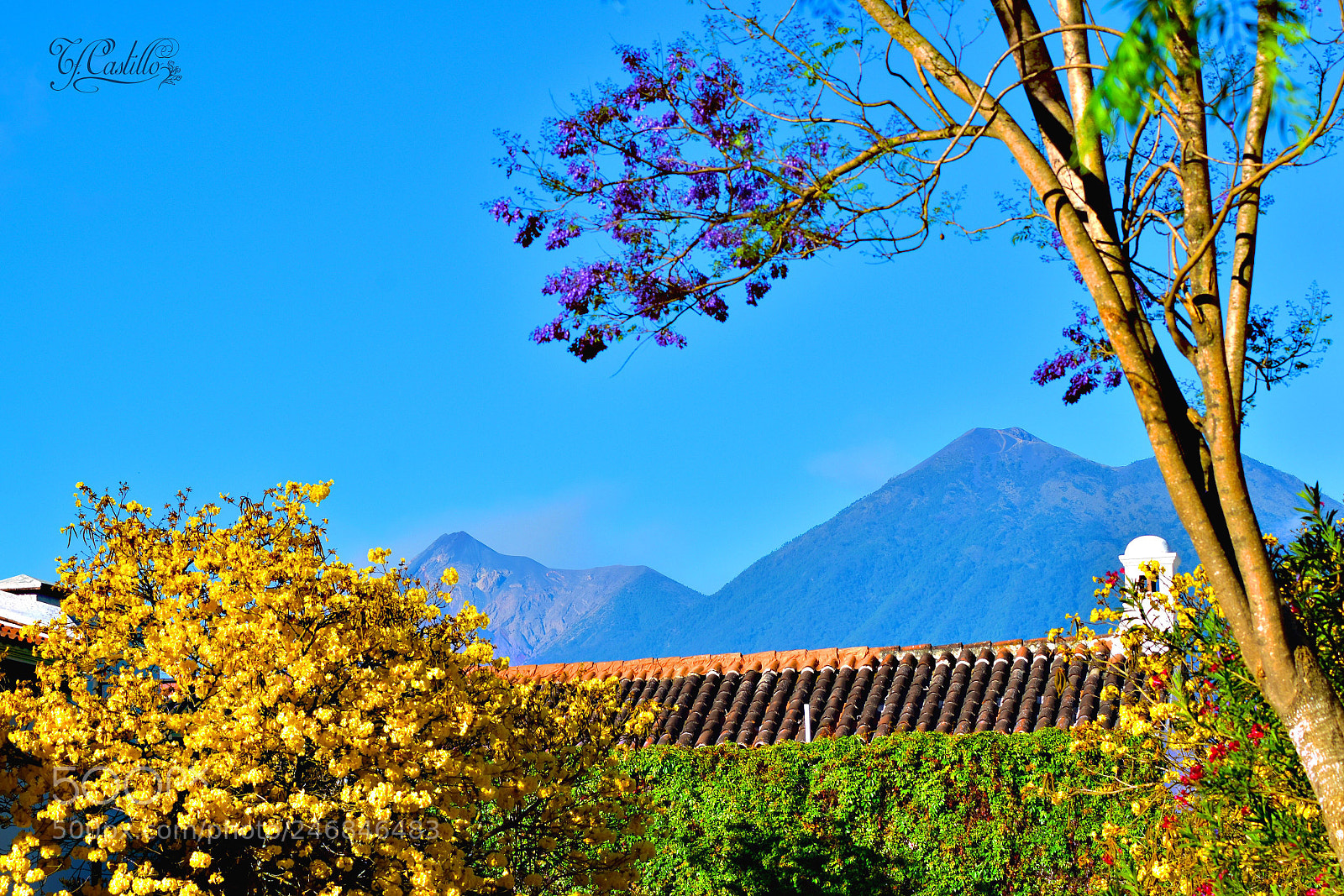 Nikon D5600 sample photo. An amazing view of photography