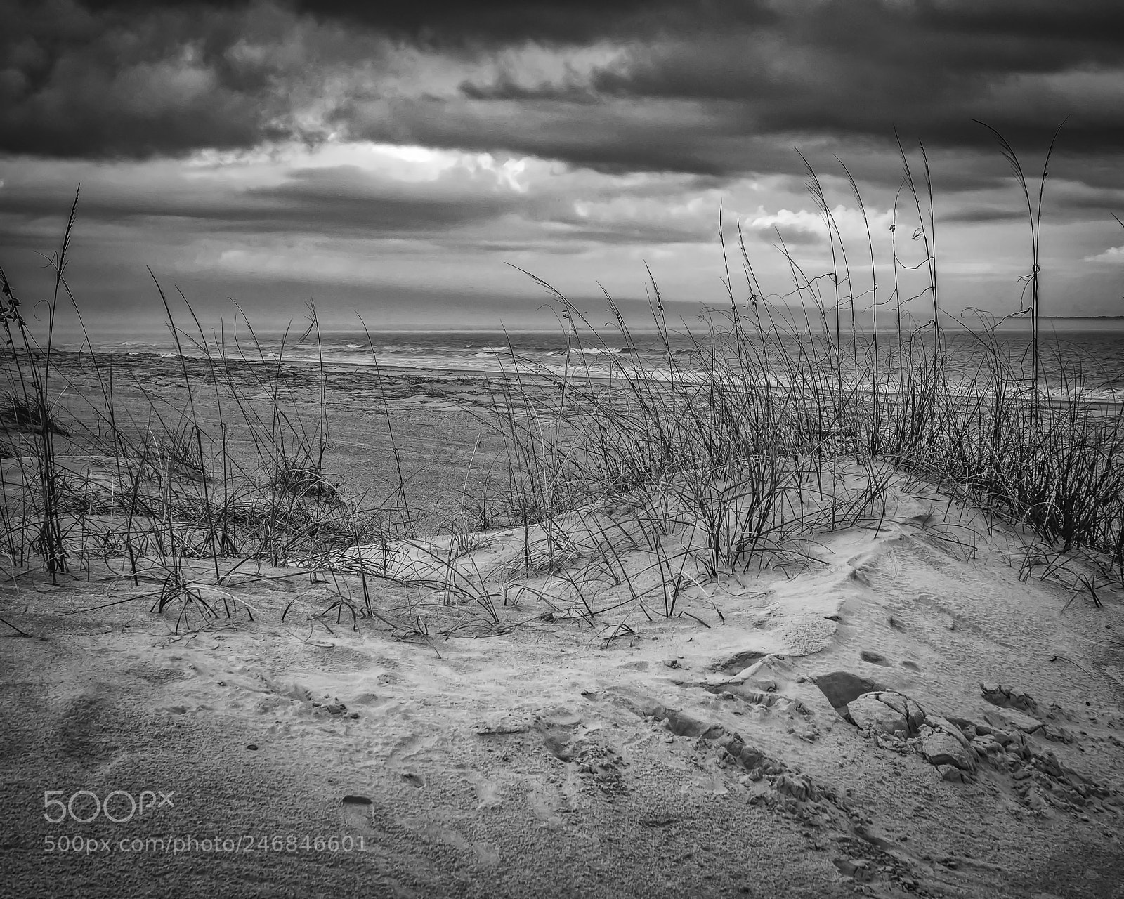 Fujifilm X-T2 sample photo. Seaside dune photography