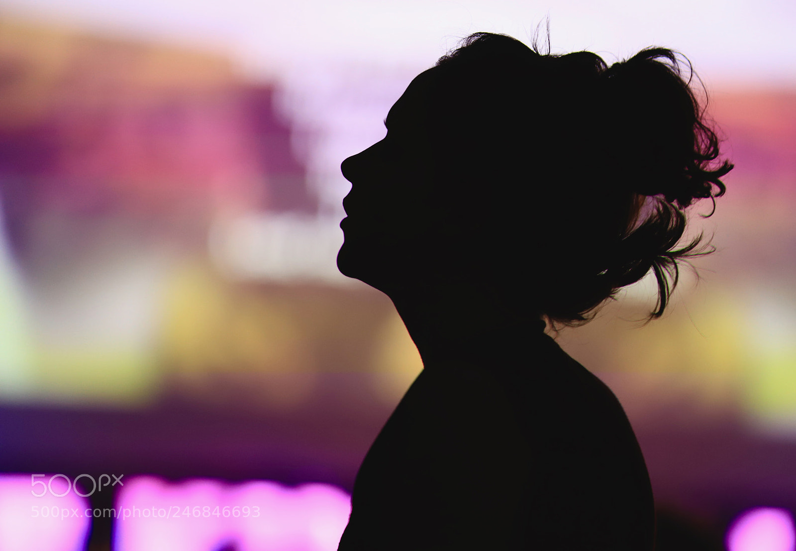 Canon EOS 6D Mark II sample photo. Silhouette photography