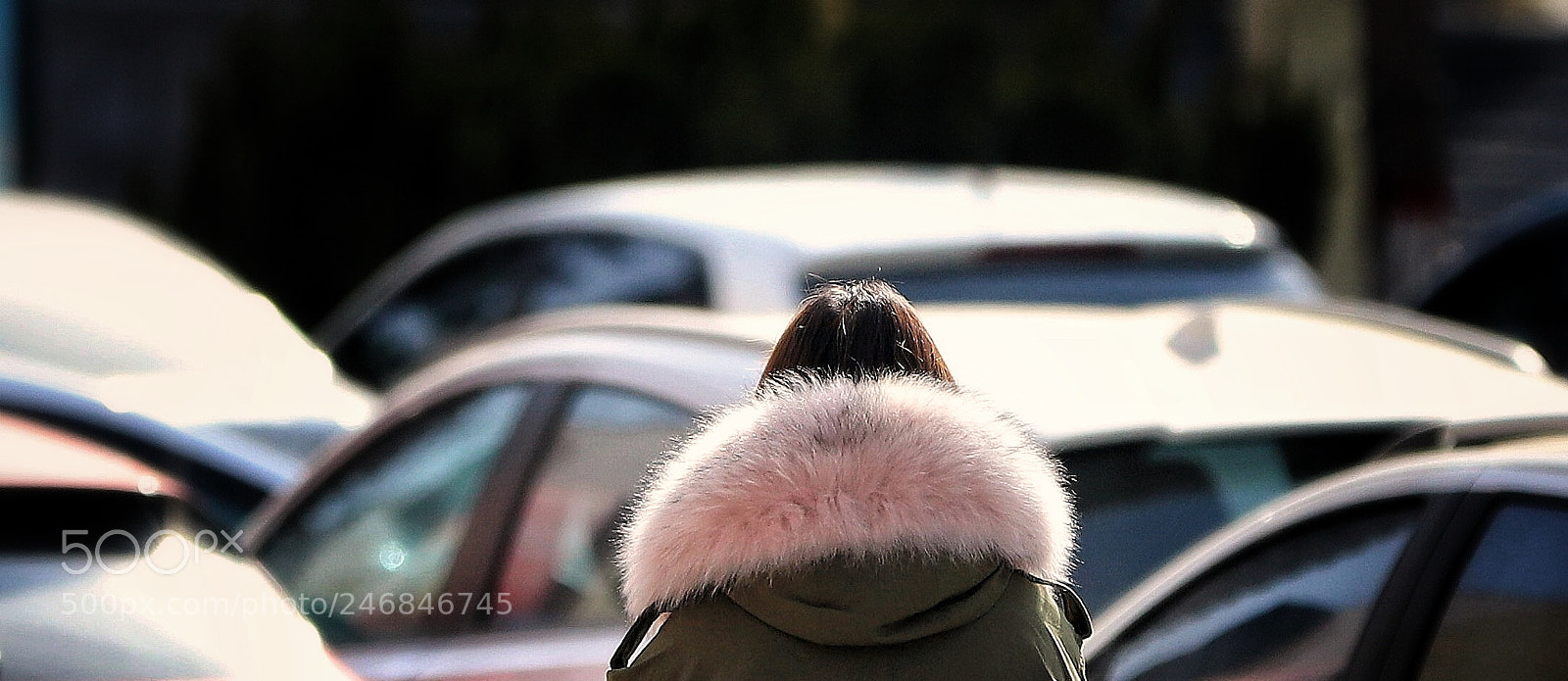 Canon EOS 6D Mark II sample photo. 三弧 photography