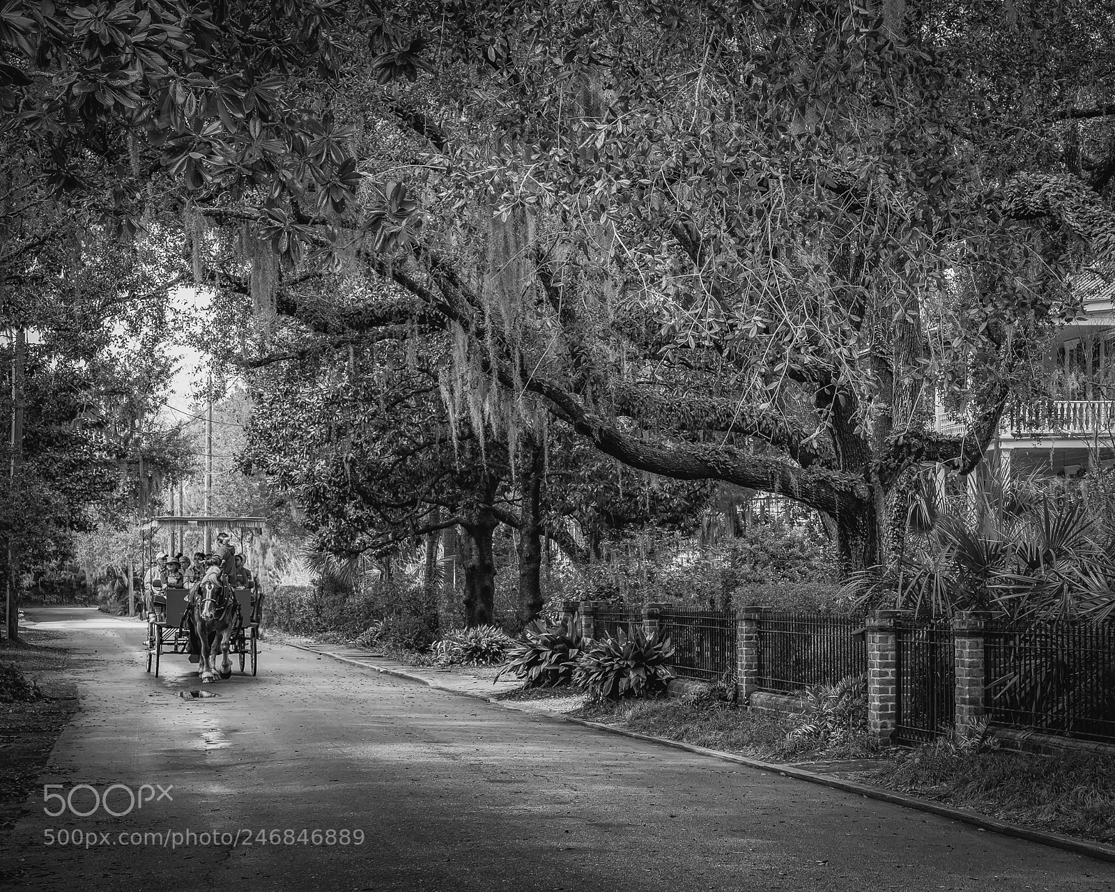 Fujifilm X-T2 sample photo. Carriage tour photography