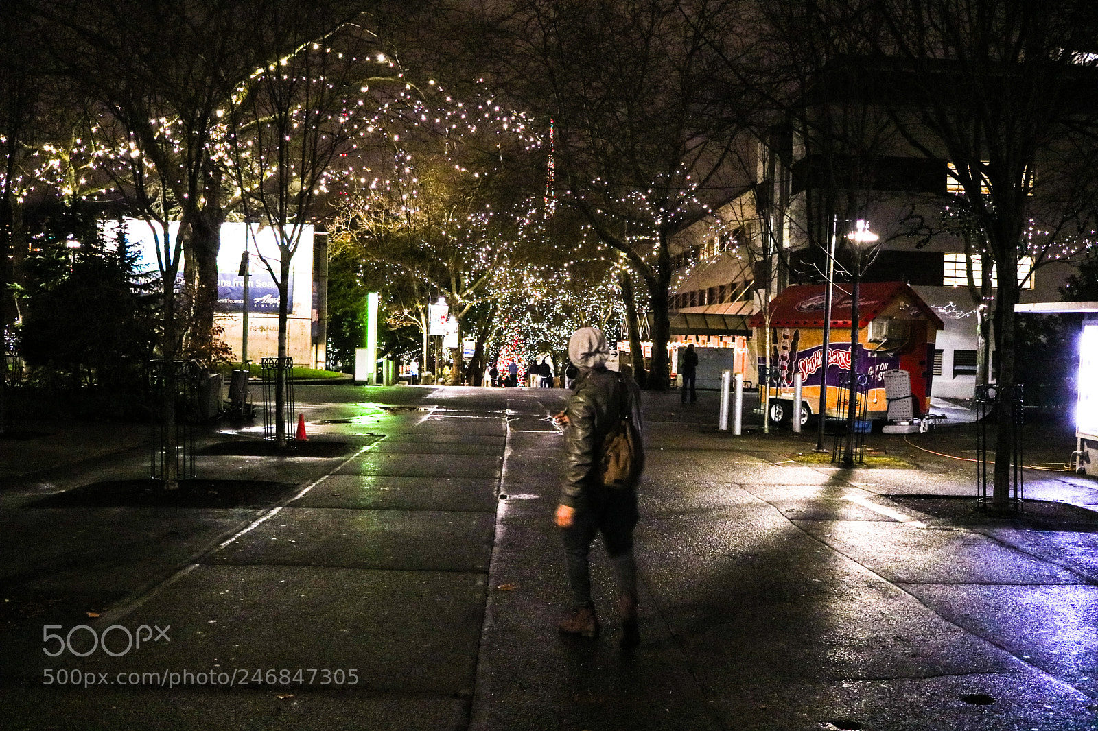 Canon EOS 750D (EOS Rebel T6i / EOS Kiss X8i) sample photo. Discover seatlle photography