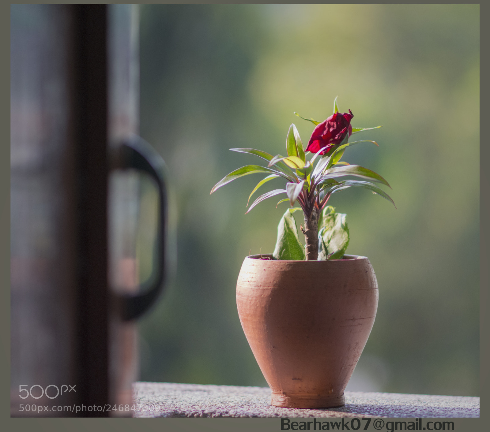 Nikon D7200 sample photo. Joj photography