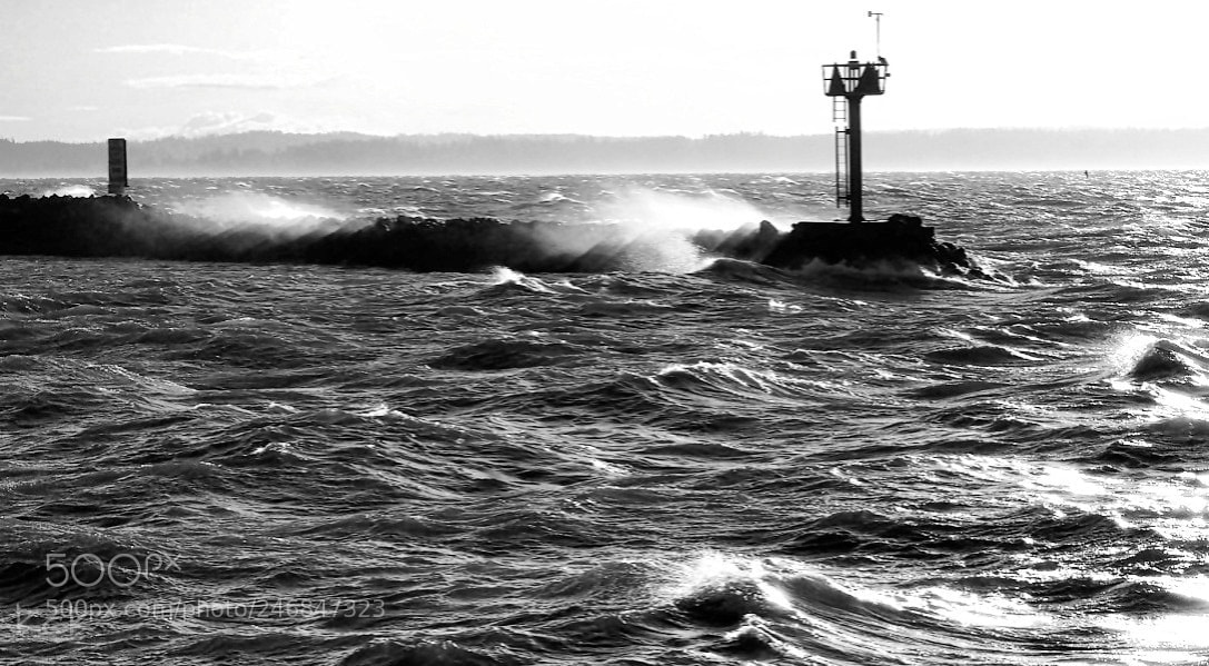 Olympus OM-D E-M10 II sample photo. Wind & sea. photography