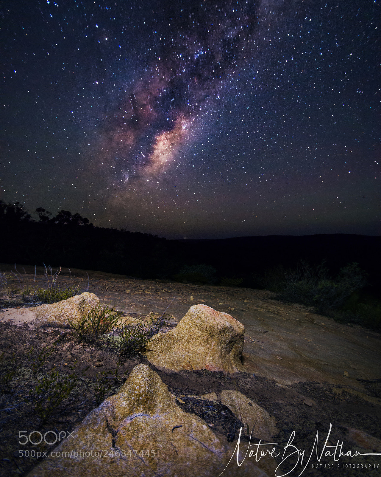 Nikon D7200 sample photo. Milky way in the photography